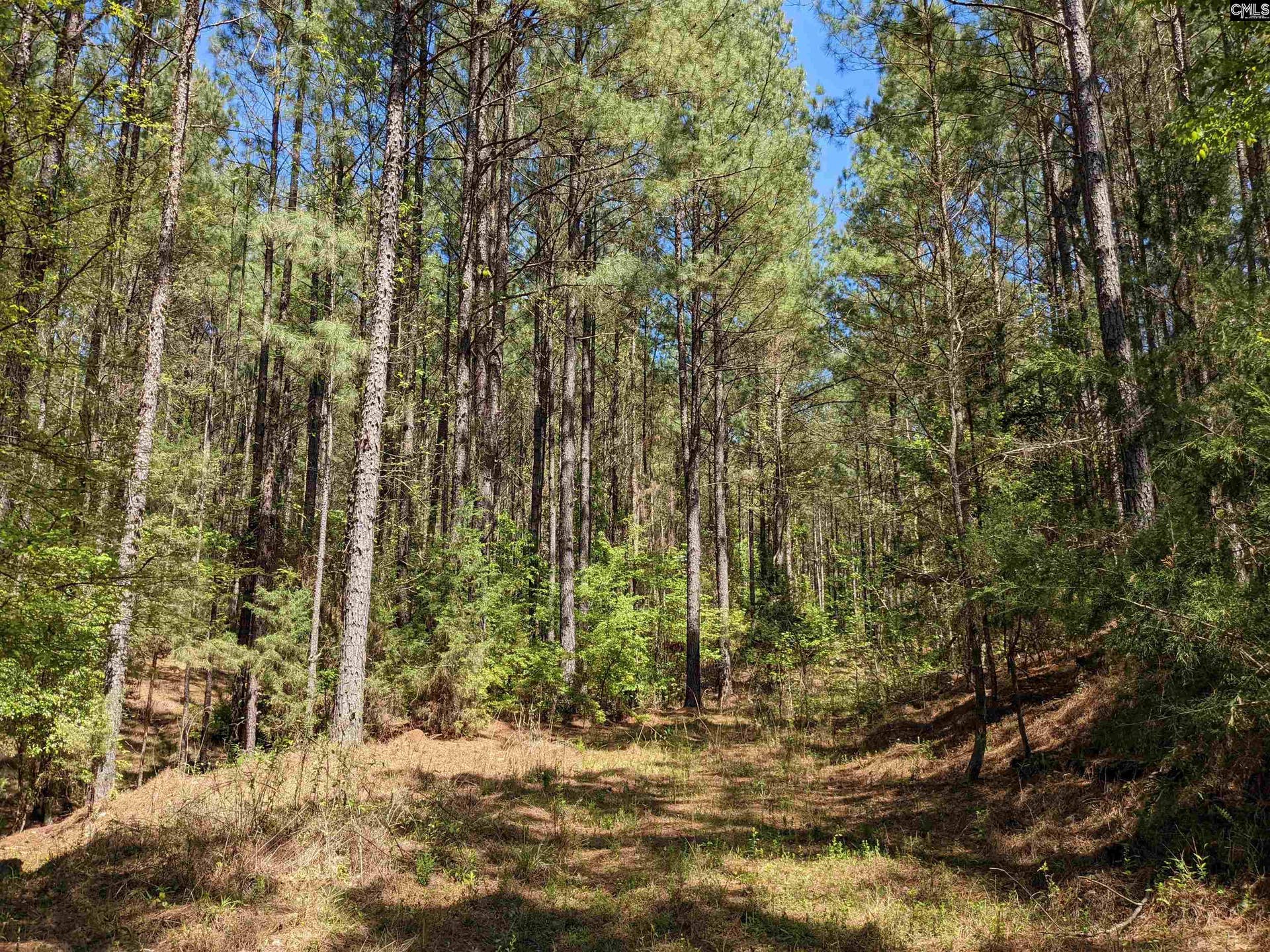 Old Hillcrest School Road, Winnsboro, SC 29180