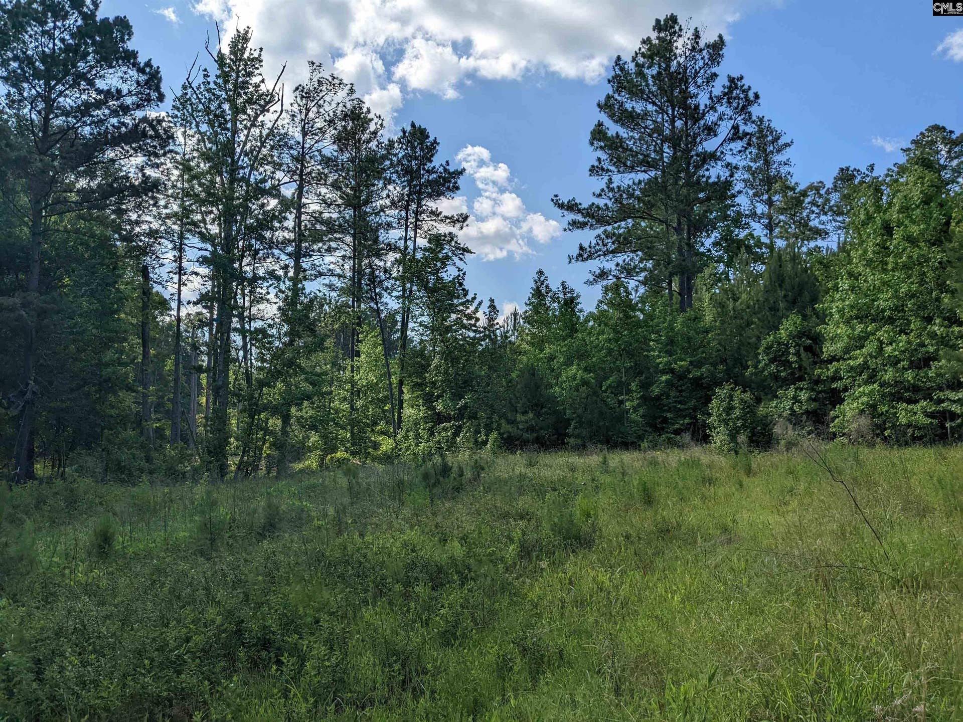 Old Hillcrest School Road, Winnsboro, SC 29180