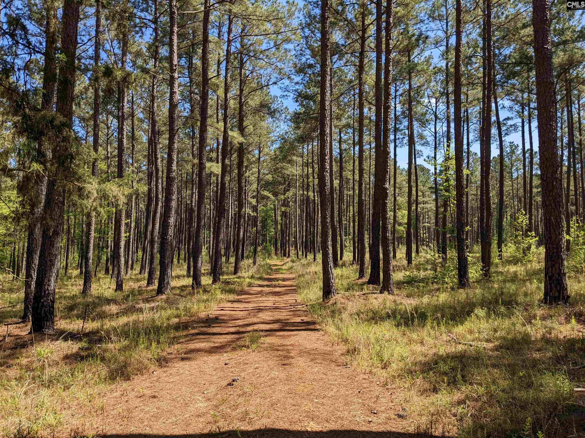 Old Hillcrest School Road, Winnsboro, SC 29180
