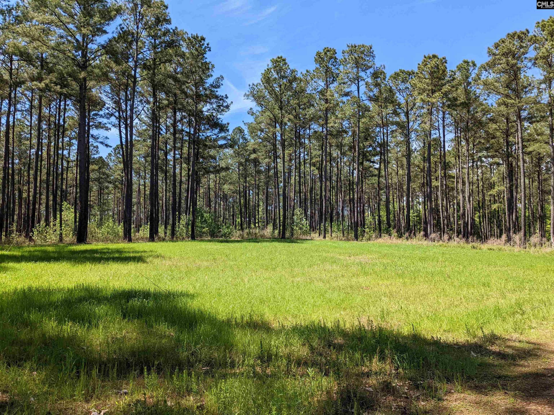 Old Hillcrest School Road, Winnsboro, SC 29180