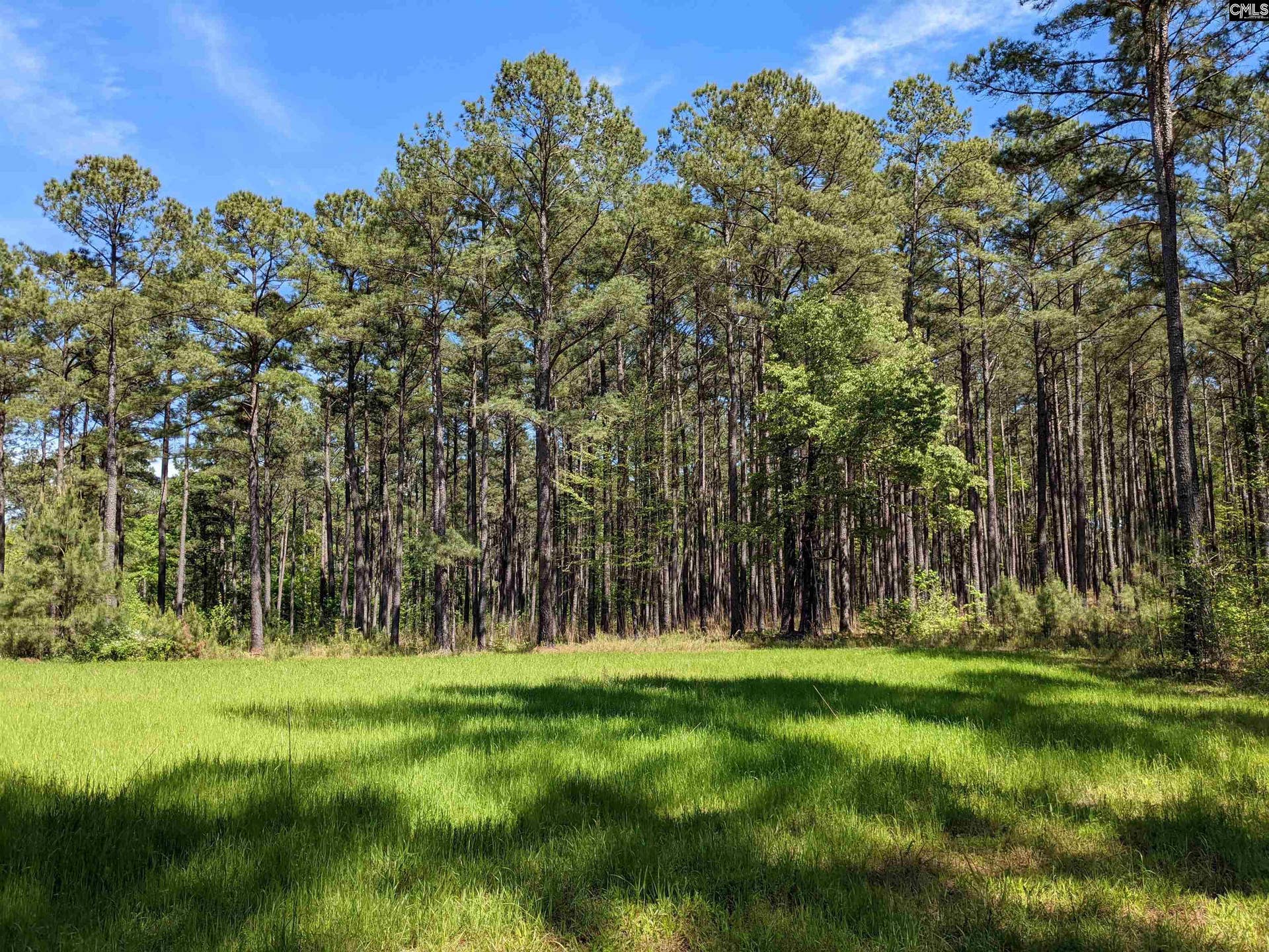 Old Hillcrest School Road, Winnsboro, SC 29180