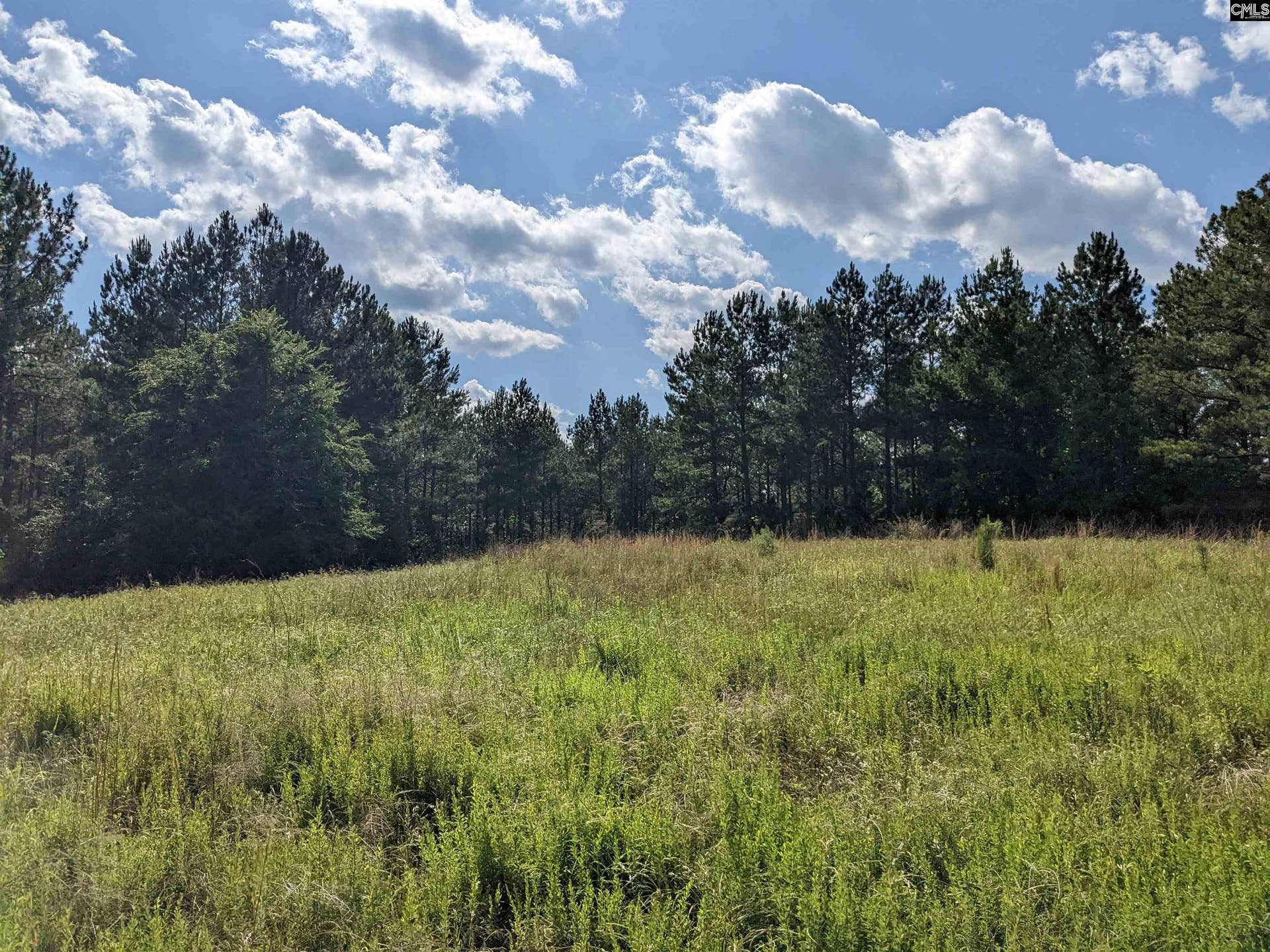 Old Hillcrest School Road, Winnsboro, SC 29180