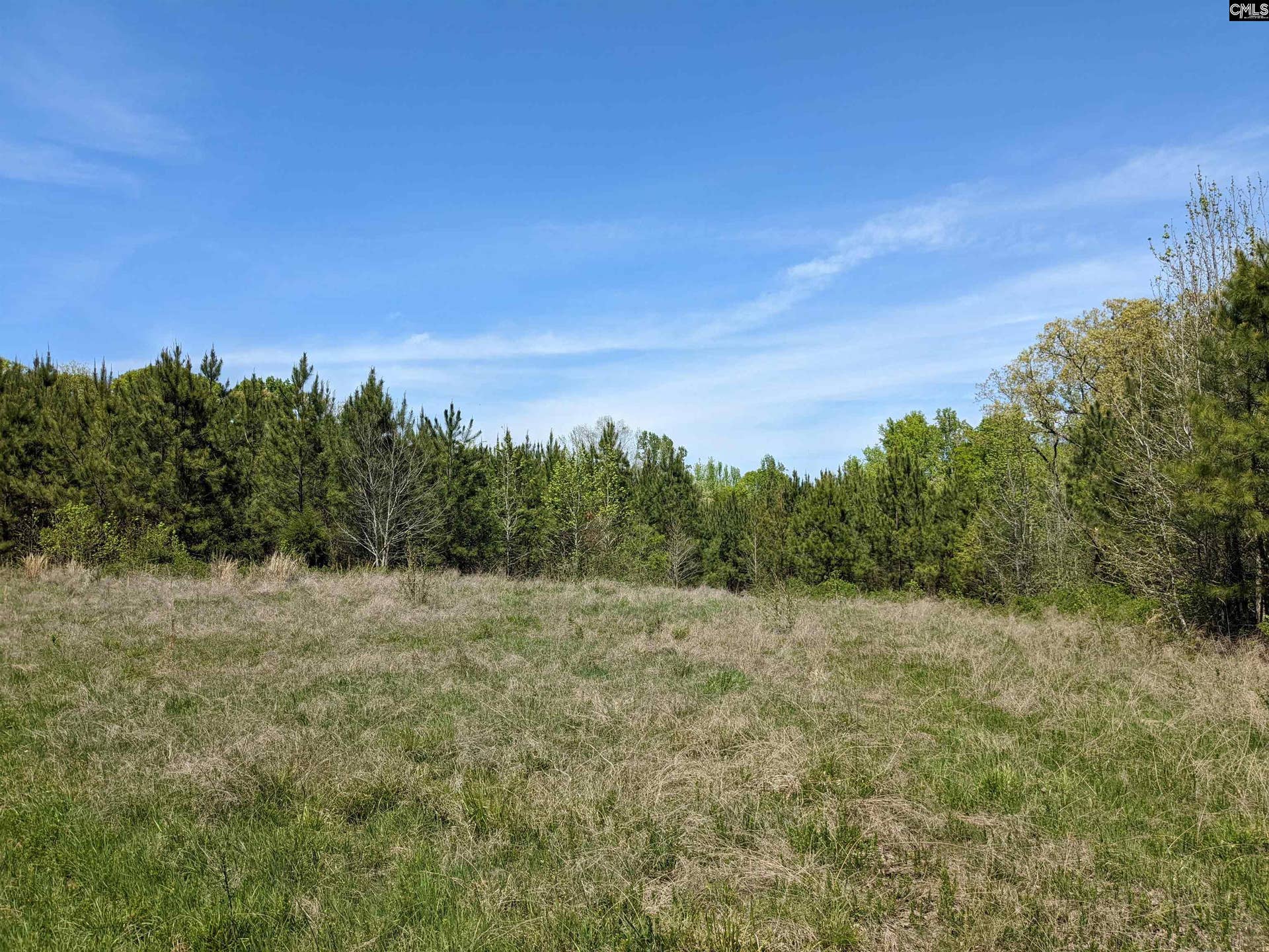 Old Hillcrest School Road, Winnsboro, SC 29180