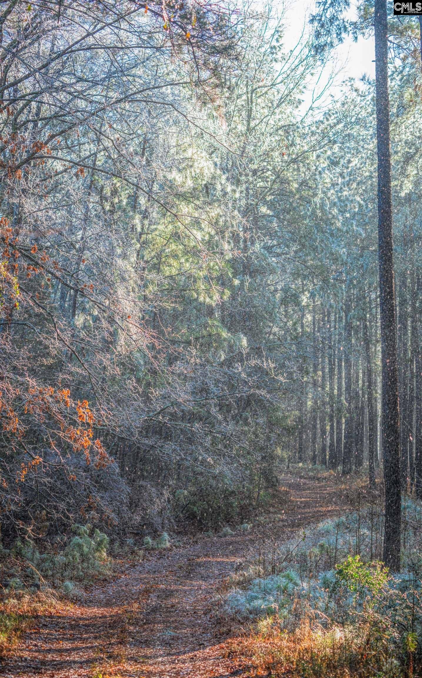Old Hillcrest School Road, Winnsboro, SC 29180