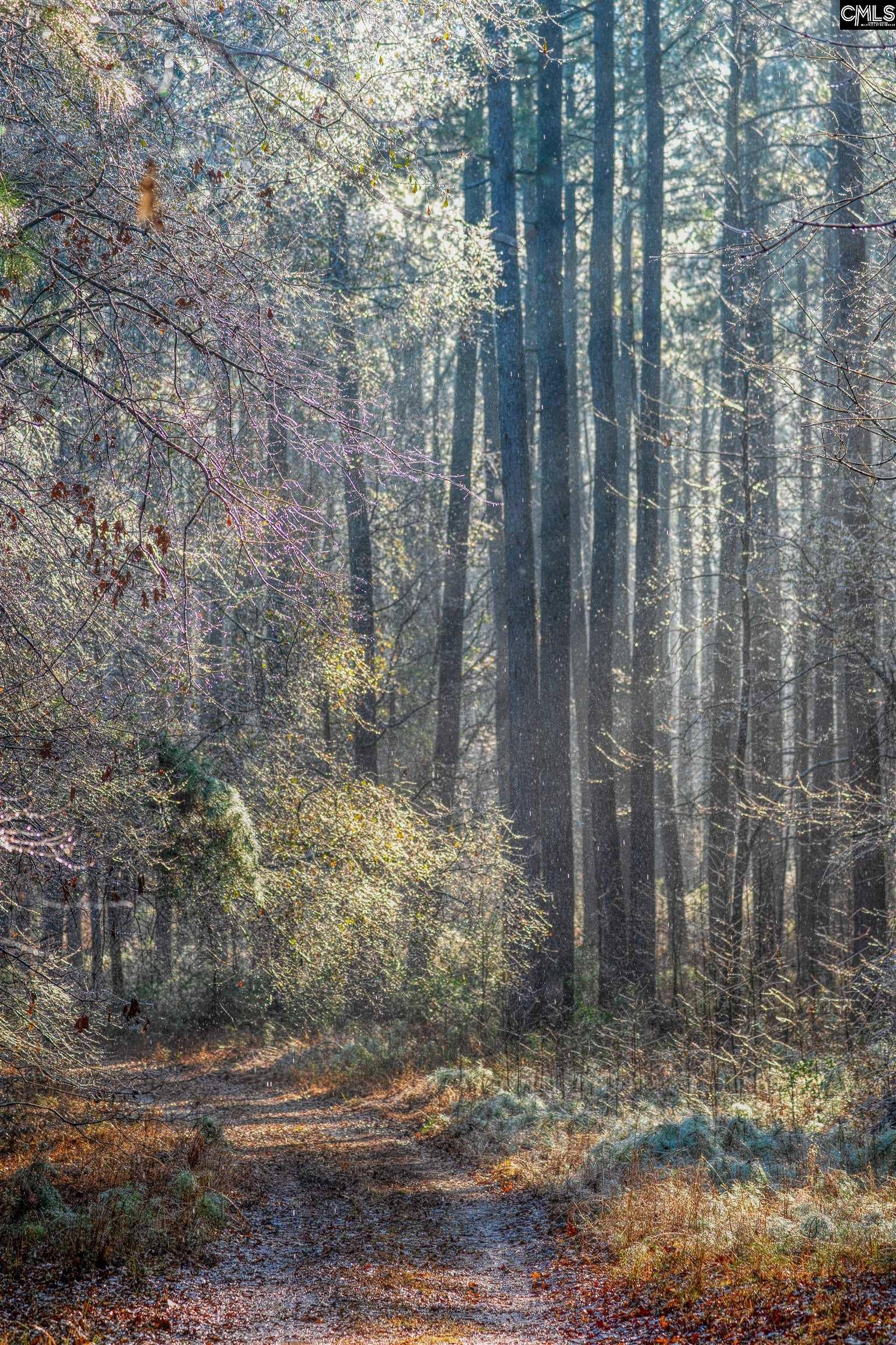 Old Hillcrest School Road, Winnsboro, SC 29180