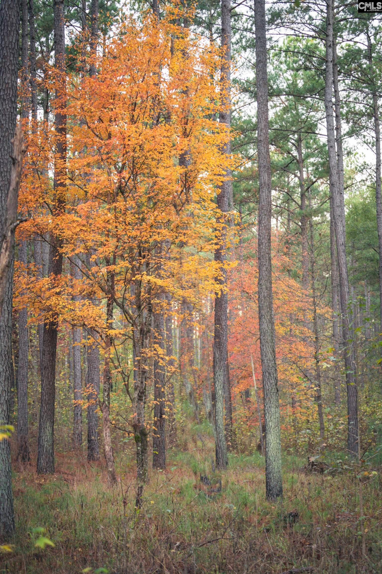 Old Hillcrest School Road, Winnsboro, SC 29180