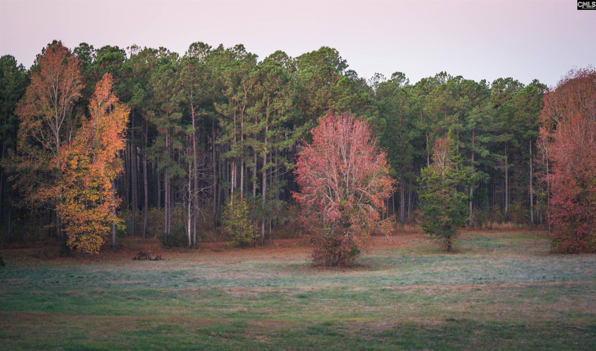 Old Hillcrest School Road, Winnsboro, SC 29180