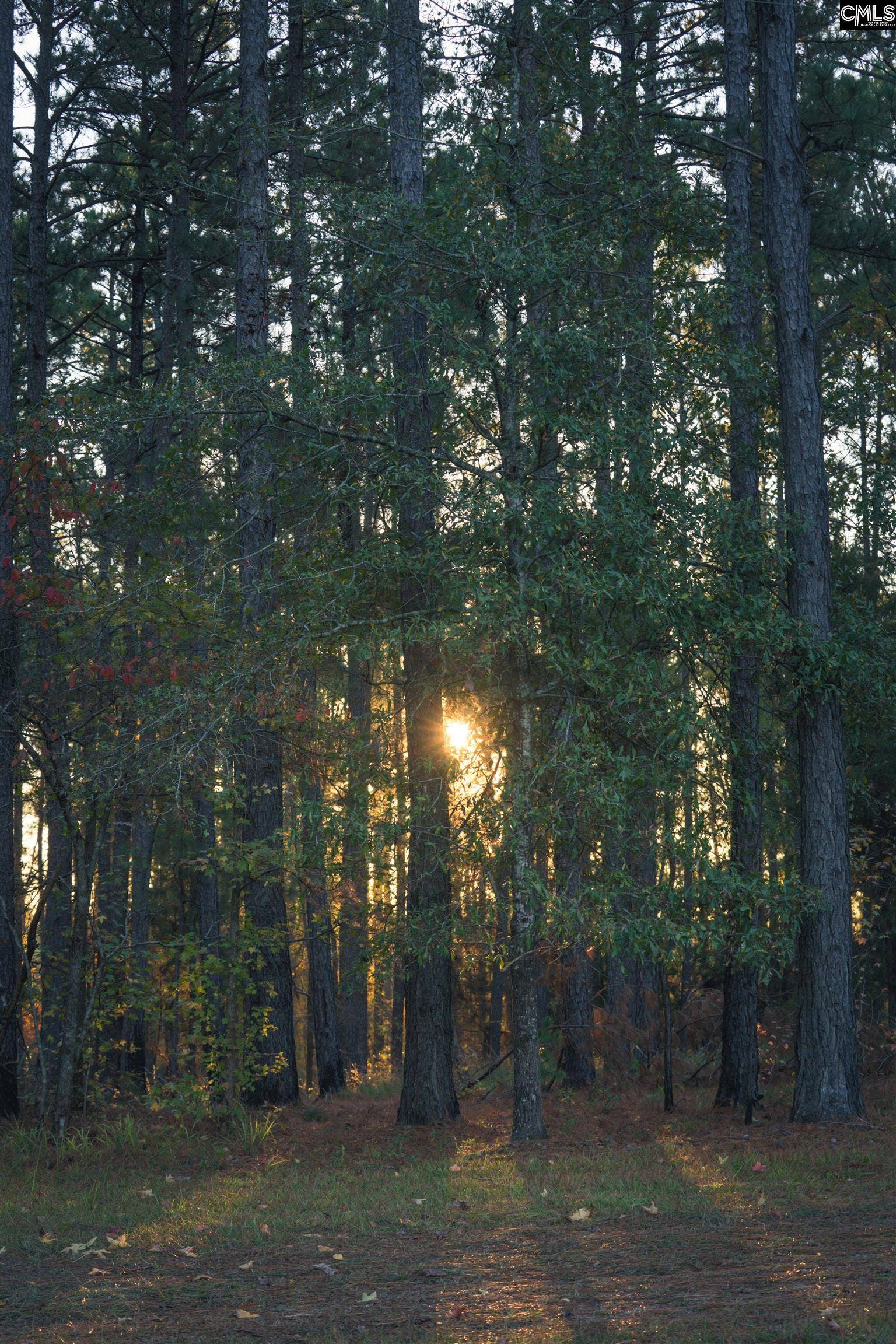 Old Hillcrest School Road, Winnsboro, SC 29180
