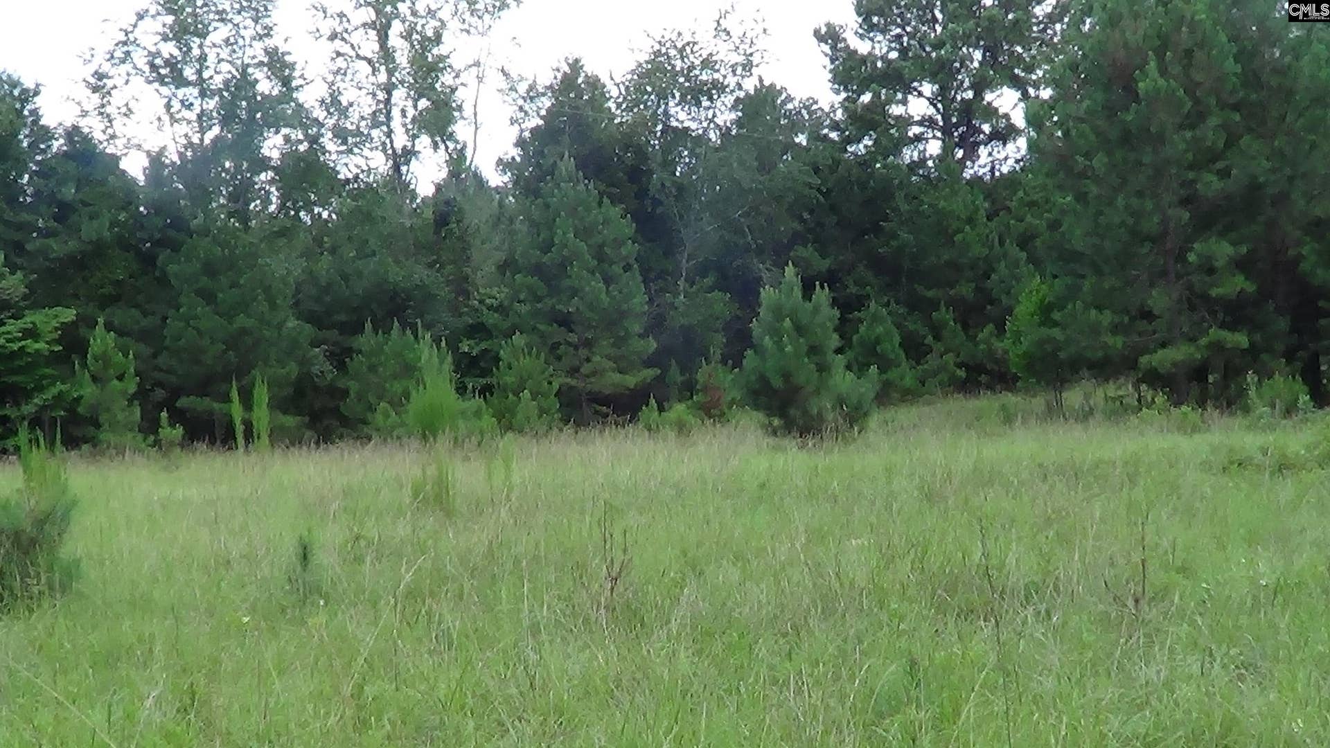 2815 Highway 1 S, Elgin, SC 29045
