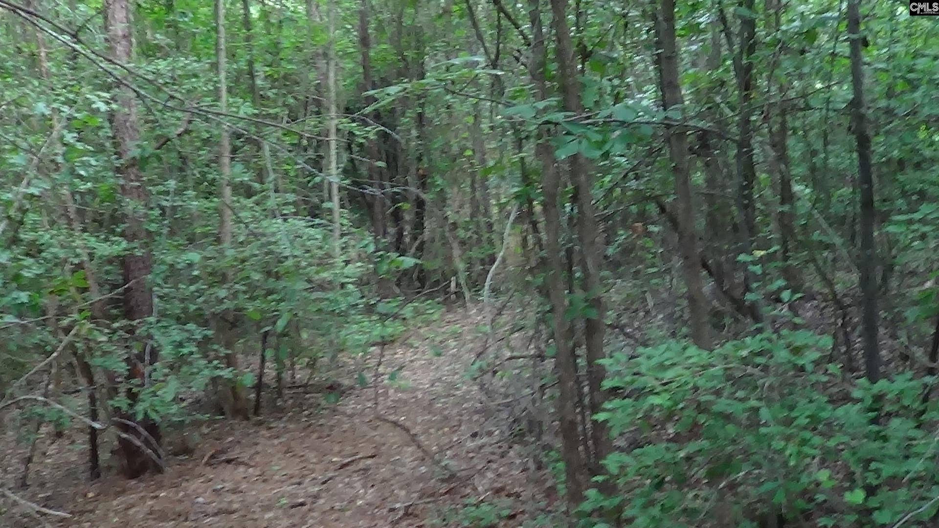 2815 Highway 1 S, Elgin, SC 29045