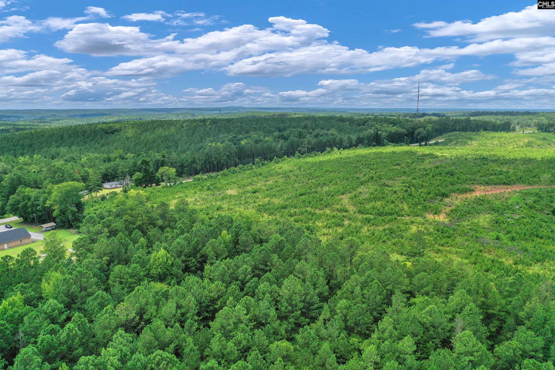 0000 Hwy 215, #4, Jenkinsville, SC 29065