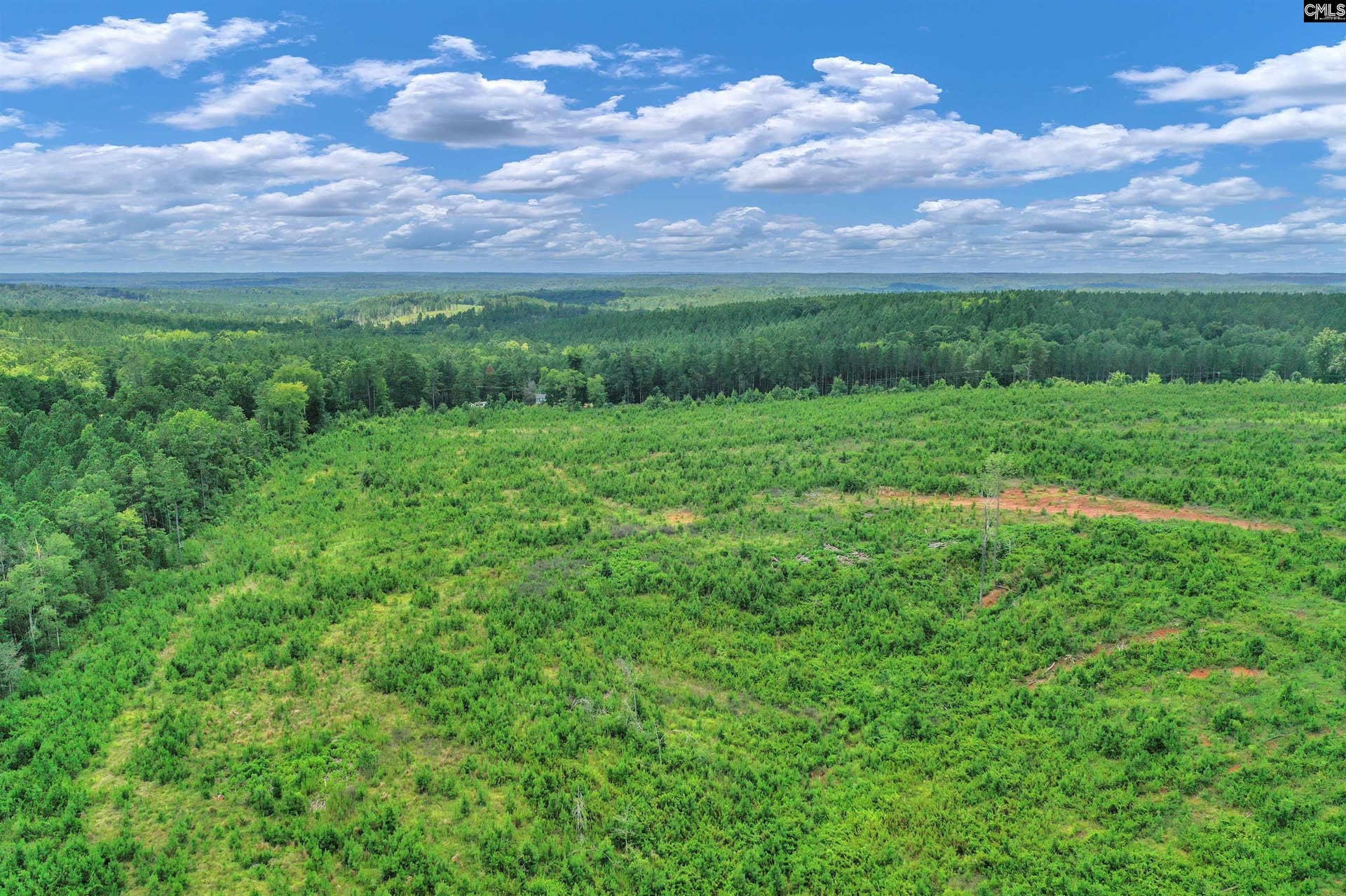 0000 Hwy 215, #4, Jenkinsville, SC 29065