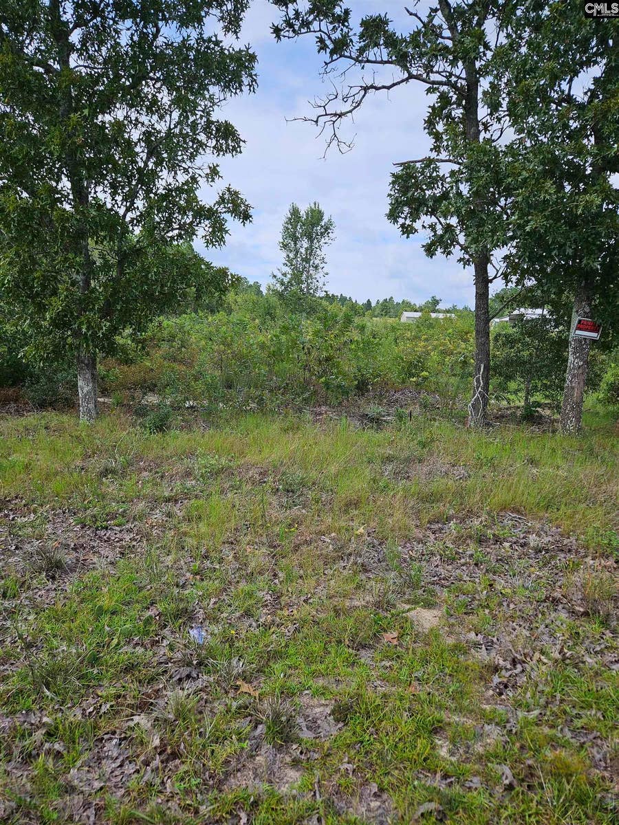 Property photo for 736 BUSH BERRY Road, Pelion, SC