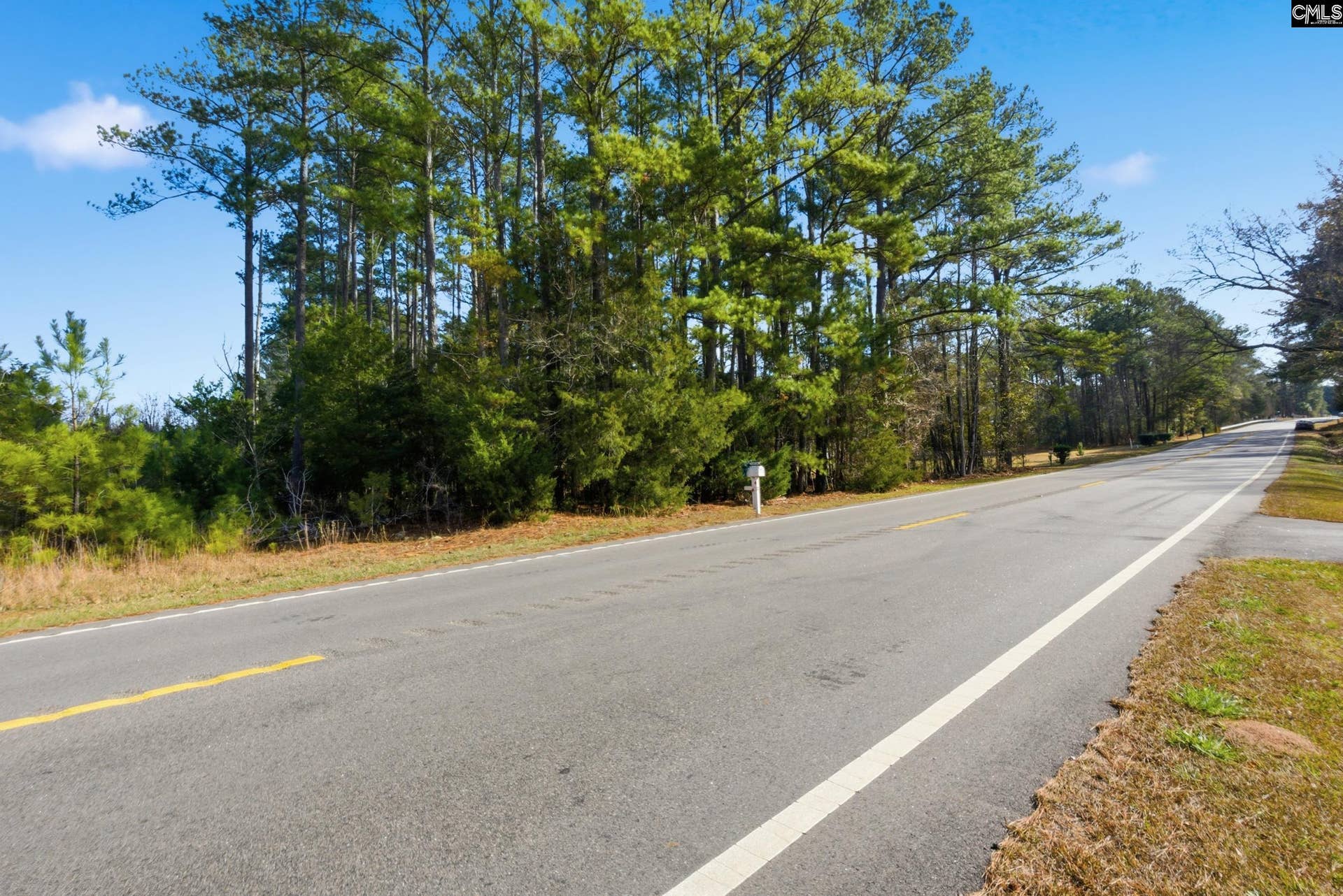 Hwy SC 215 tract D, Jenkinsville, SC 29065