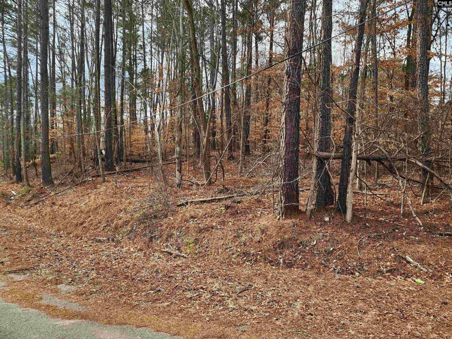 Lot 66 Kingswood Drive, Winnsboro, SC 29180