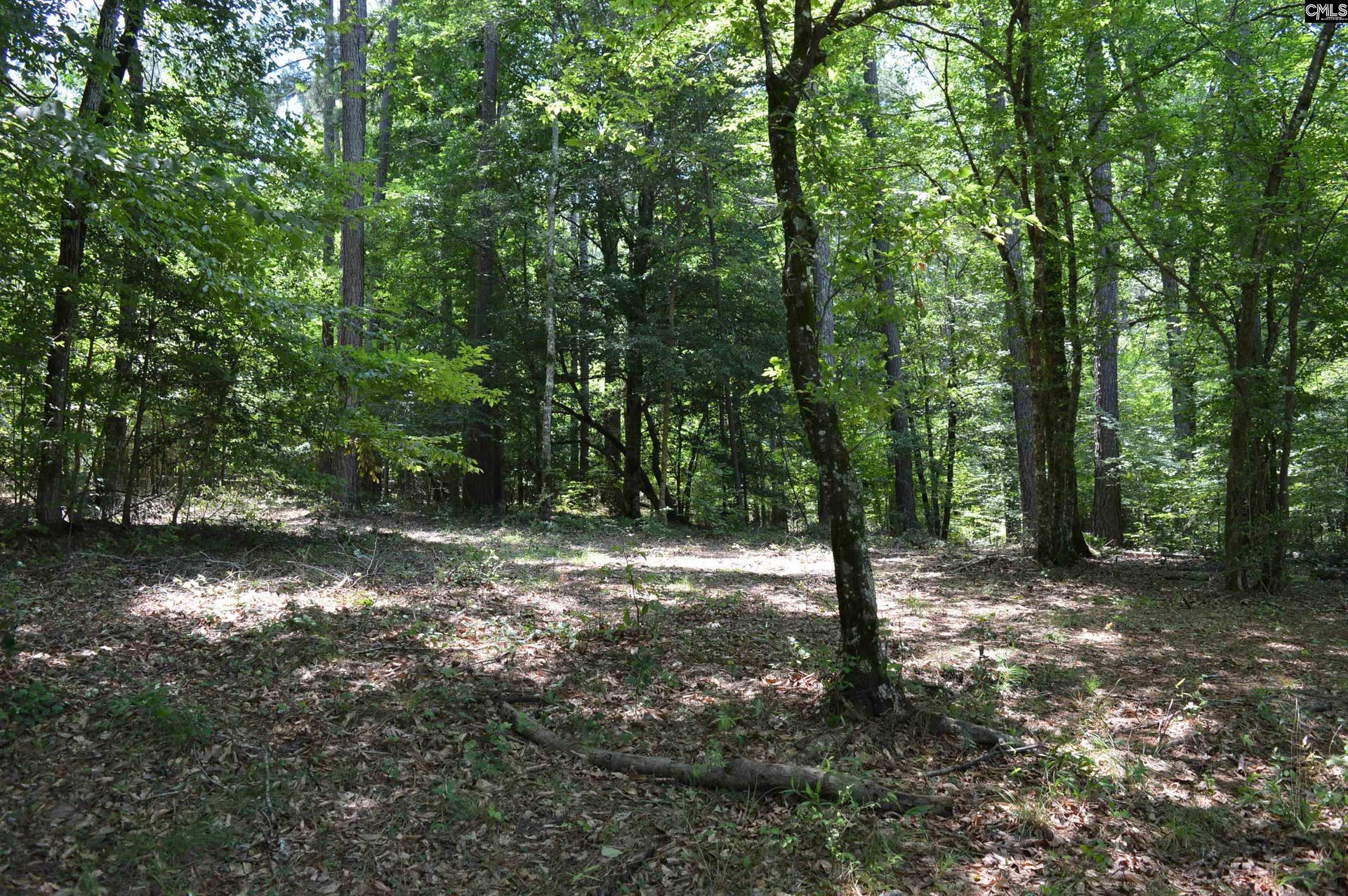 280 General Sumter Drive, Great Falls, SC 29055