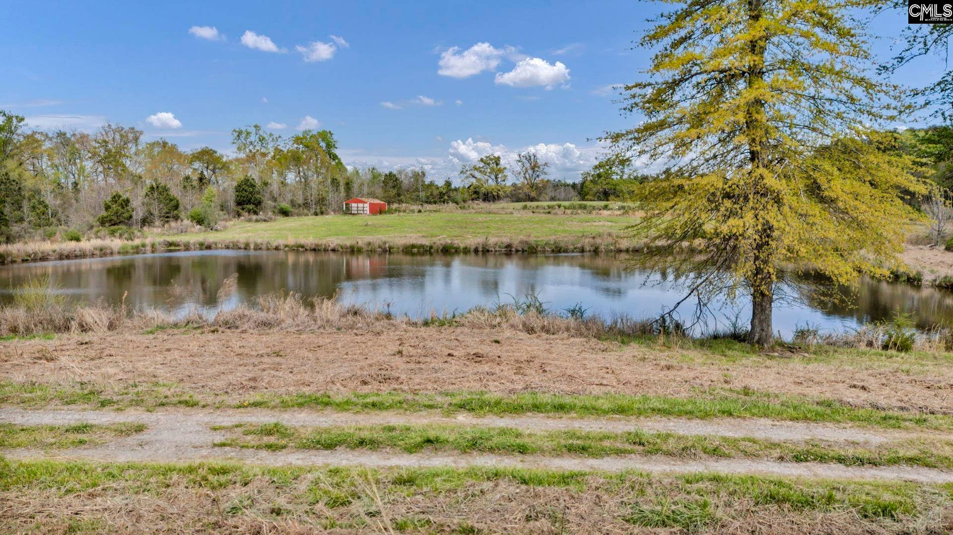 421 & 0 Shore Road, Gilbert, SC 29054