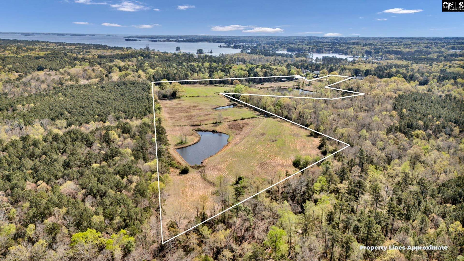 421 & 0 Shore Road, Gilbert, SC 29054