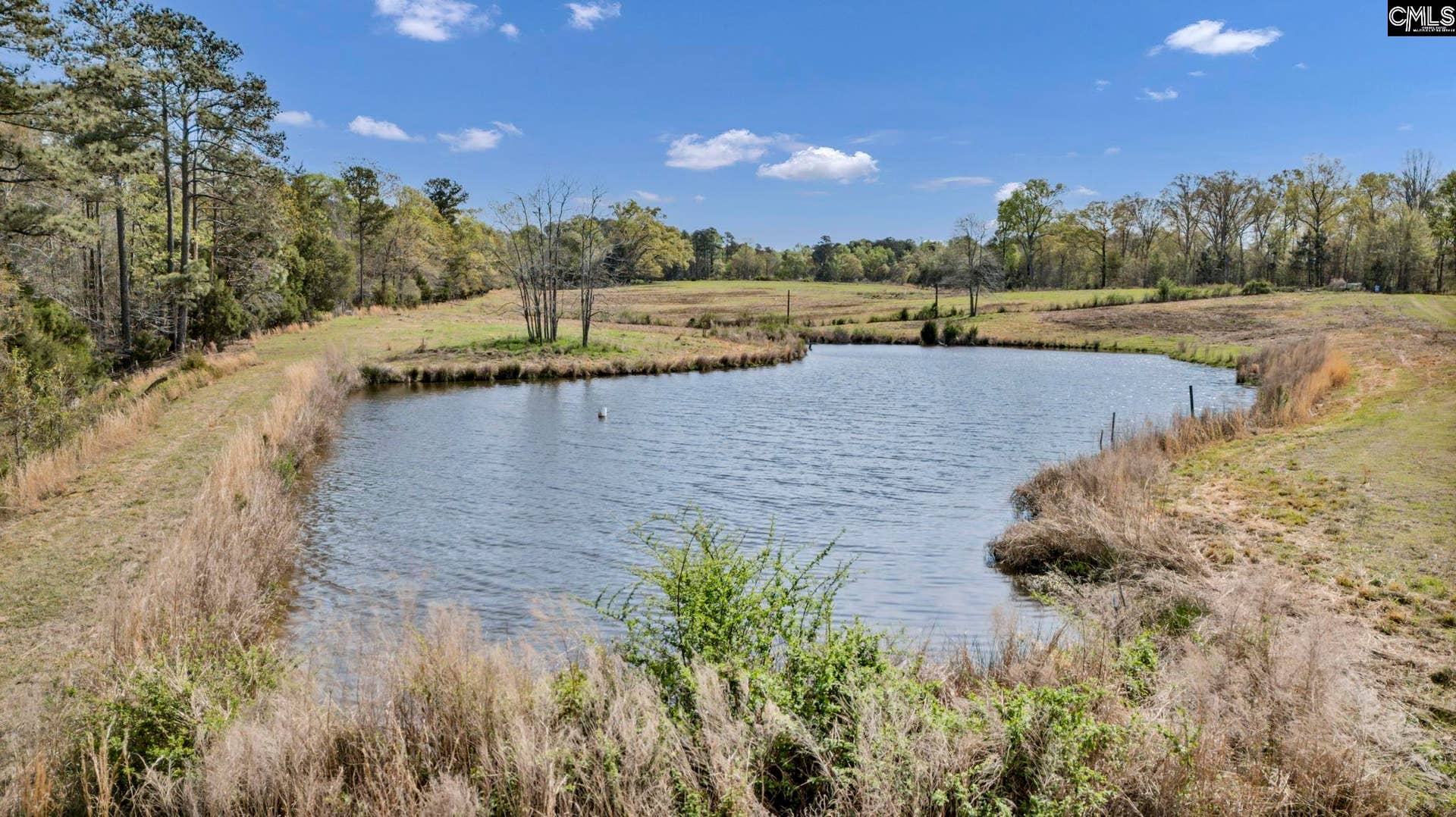 421 & 0 Shore Road, Gilbert, SC 29054