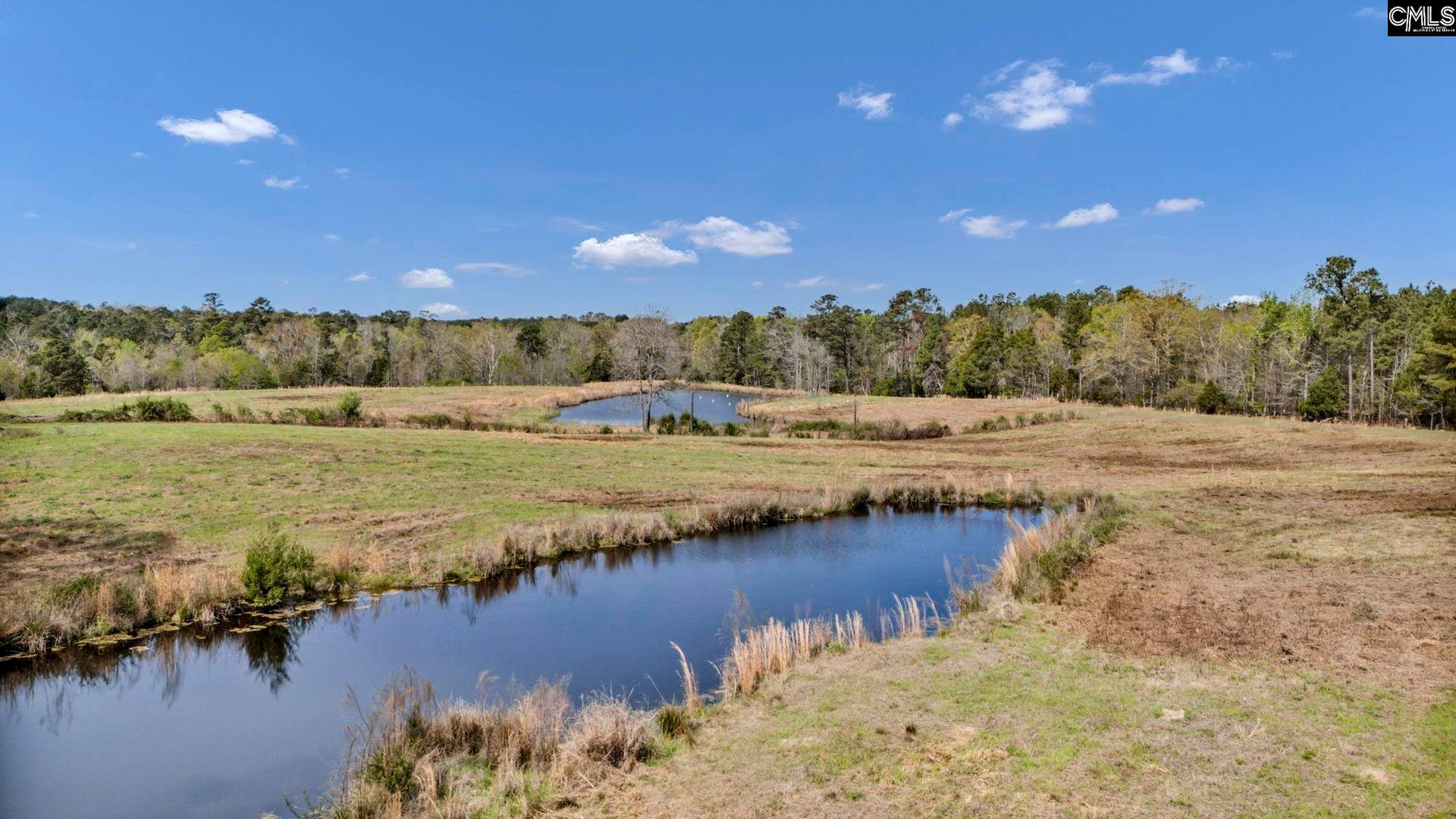 421 & 0 Shore Road, Gilbert, SC 29054