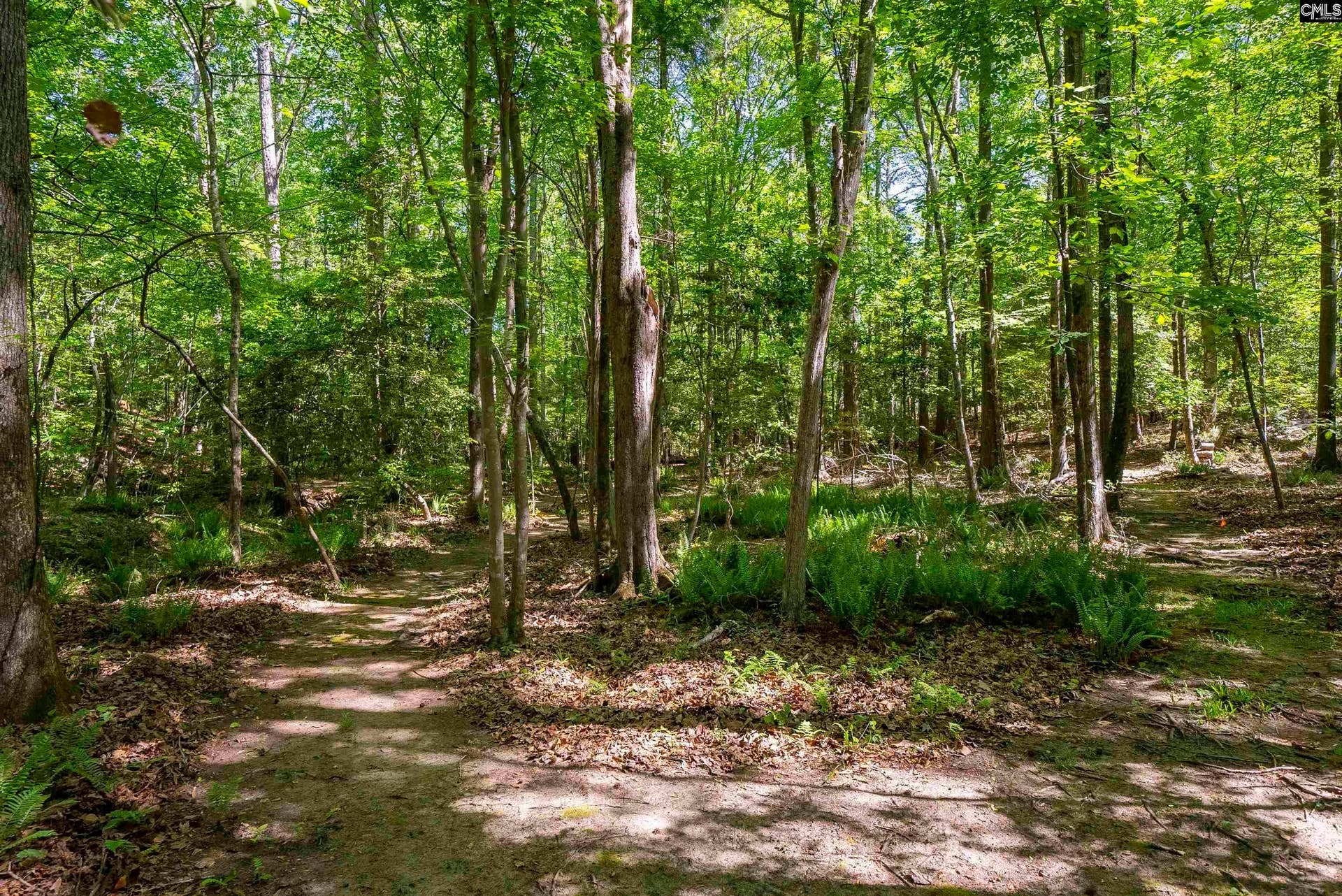 102 Warner Woods Road, Lexington, SC 29072