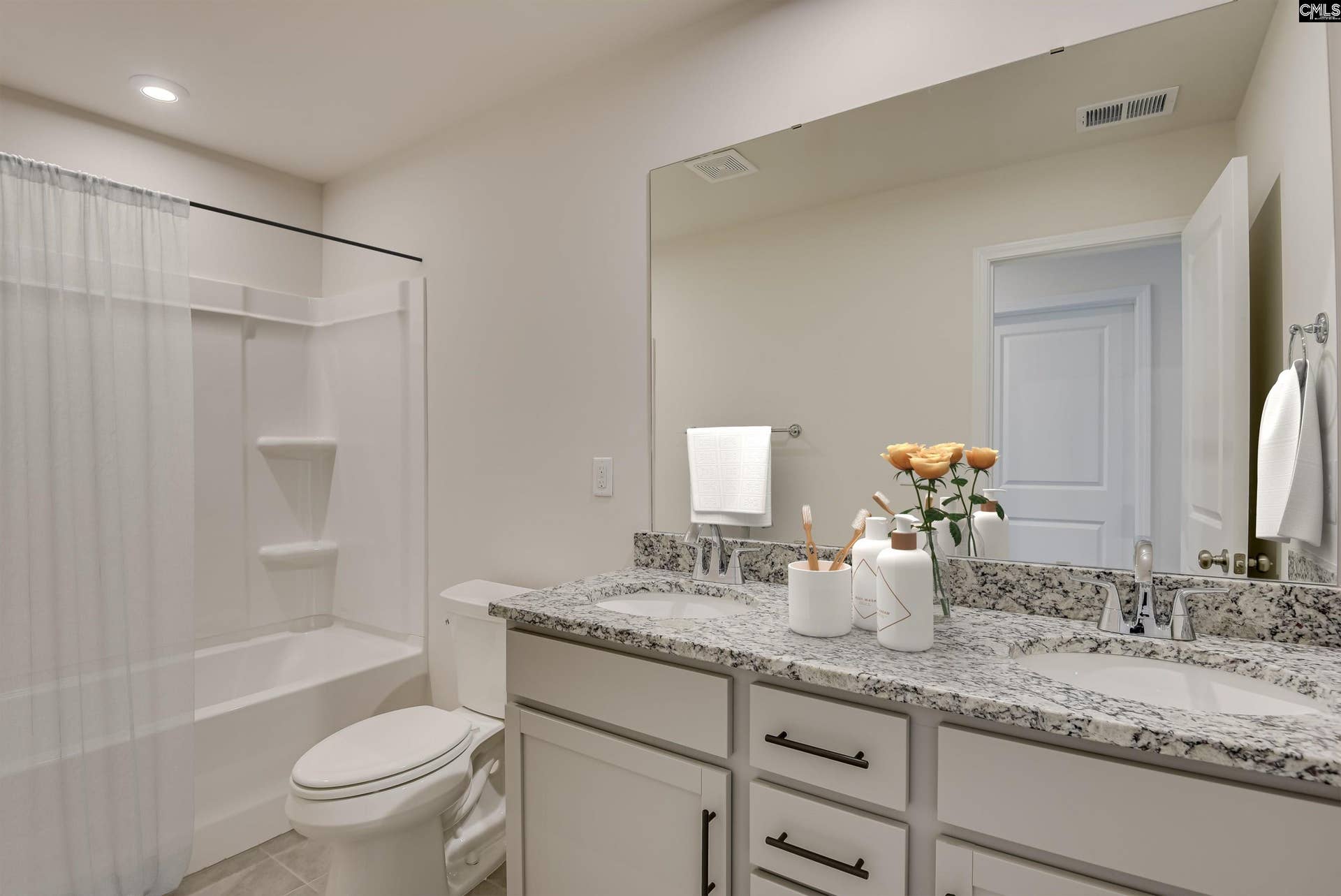 372 Chapin Place Way, Chapin, SC 29036