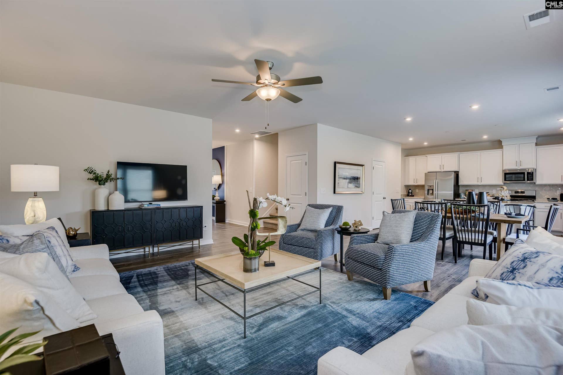 372 Chapin Place Way, Chapin, SC 29036
