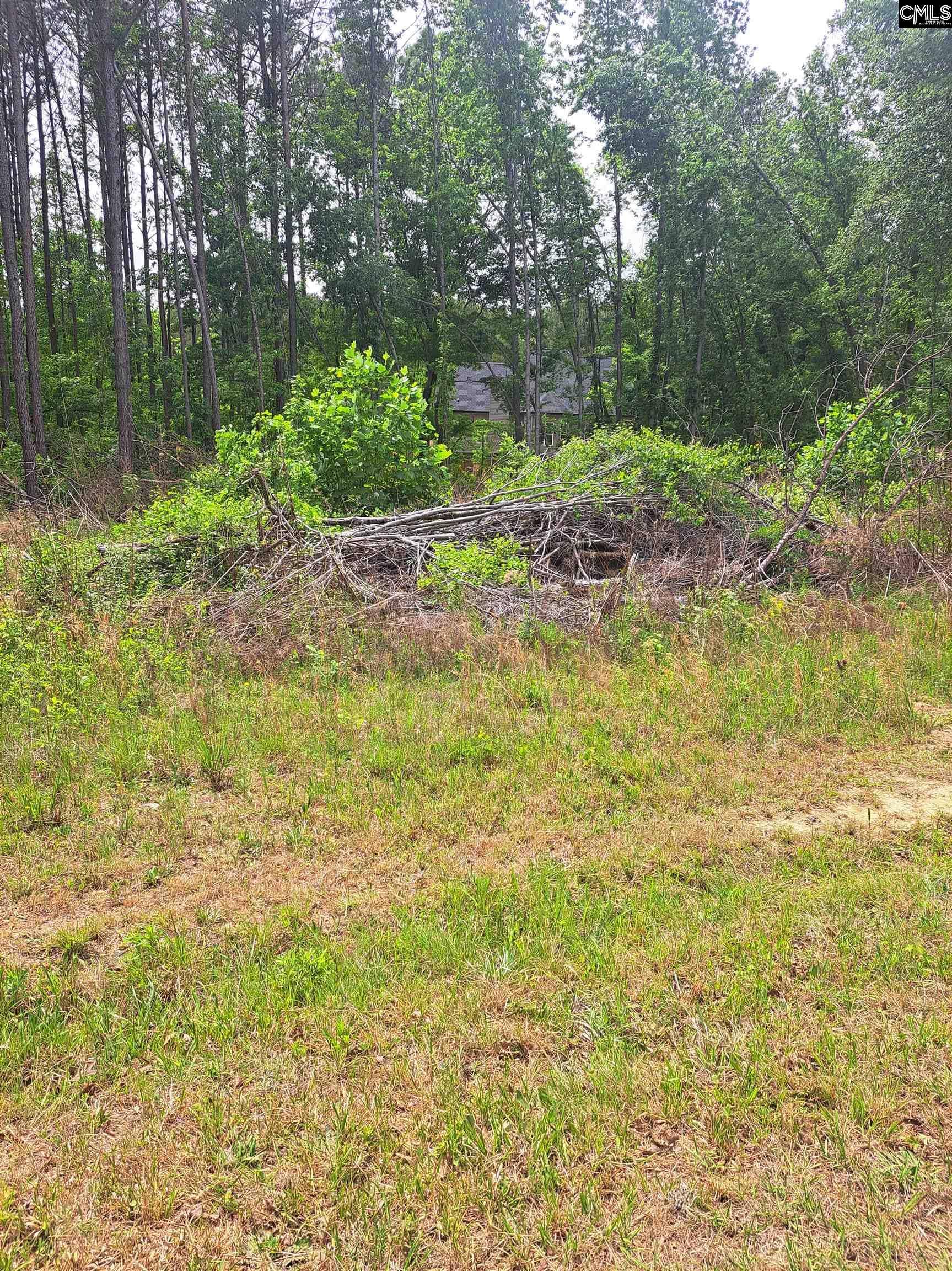 460 Grover Wilson Road, Ridgeway, SC 29130-0000