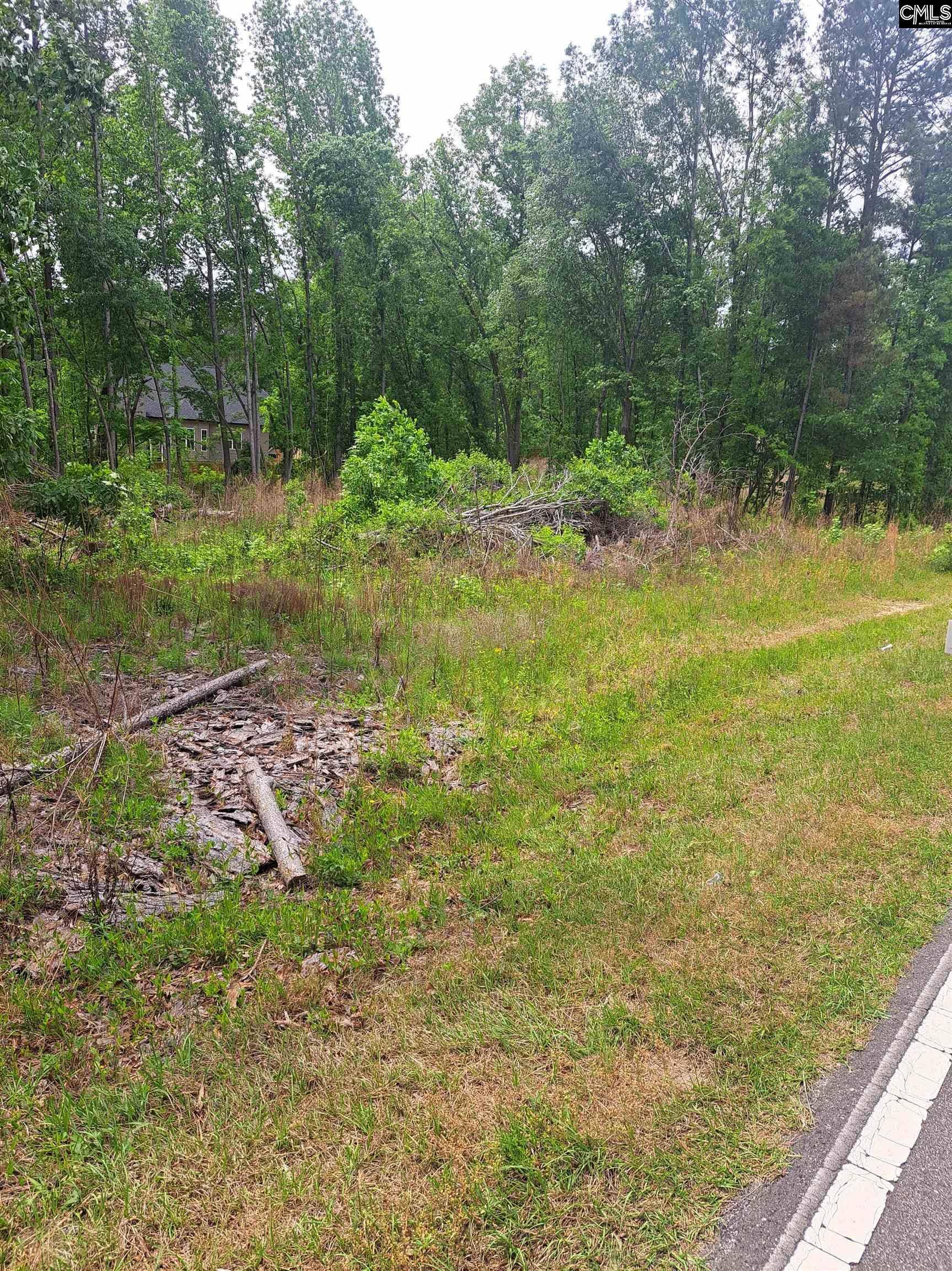 460 Grover Wilson Road, Ridgeway, SC 29130-0000