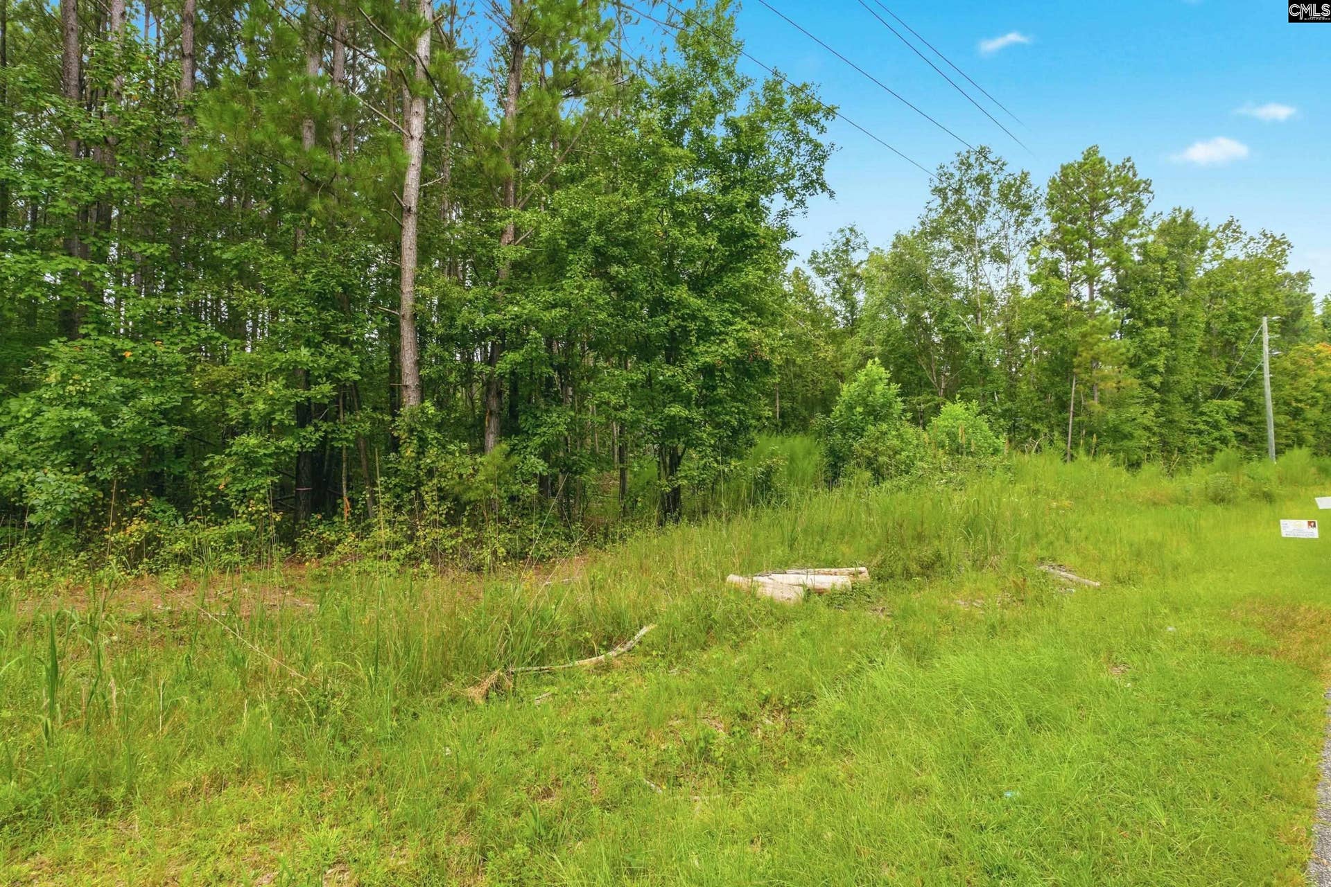 460 Grover Wilson Road, Ridgeway, SC 29130-0000