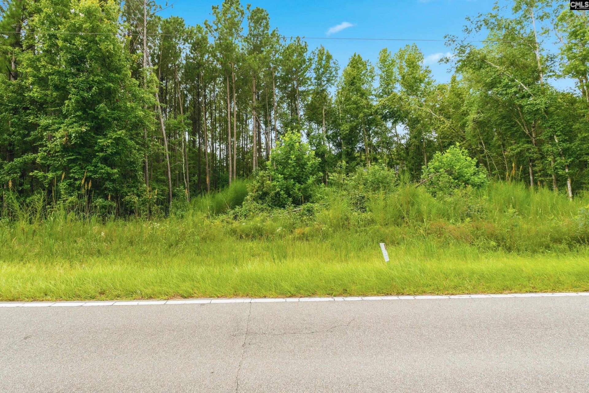 460 Grover Wilson Road, Ridgeway, SC 29130-0000