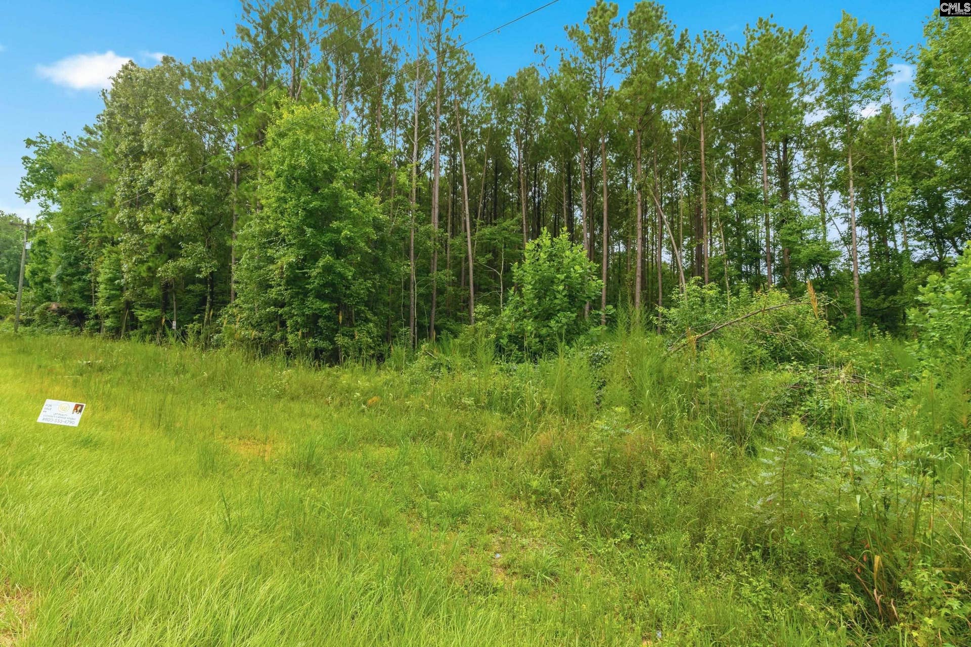 460 Grover Wilson Road, Ridgeway, SC 29130-0000