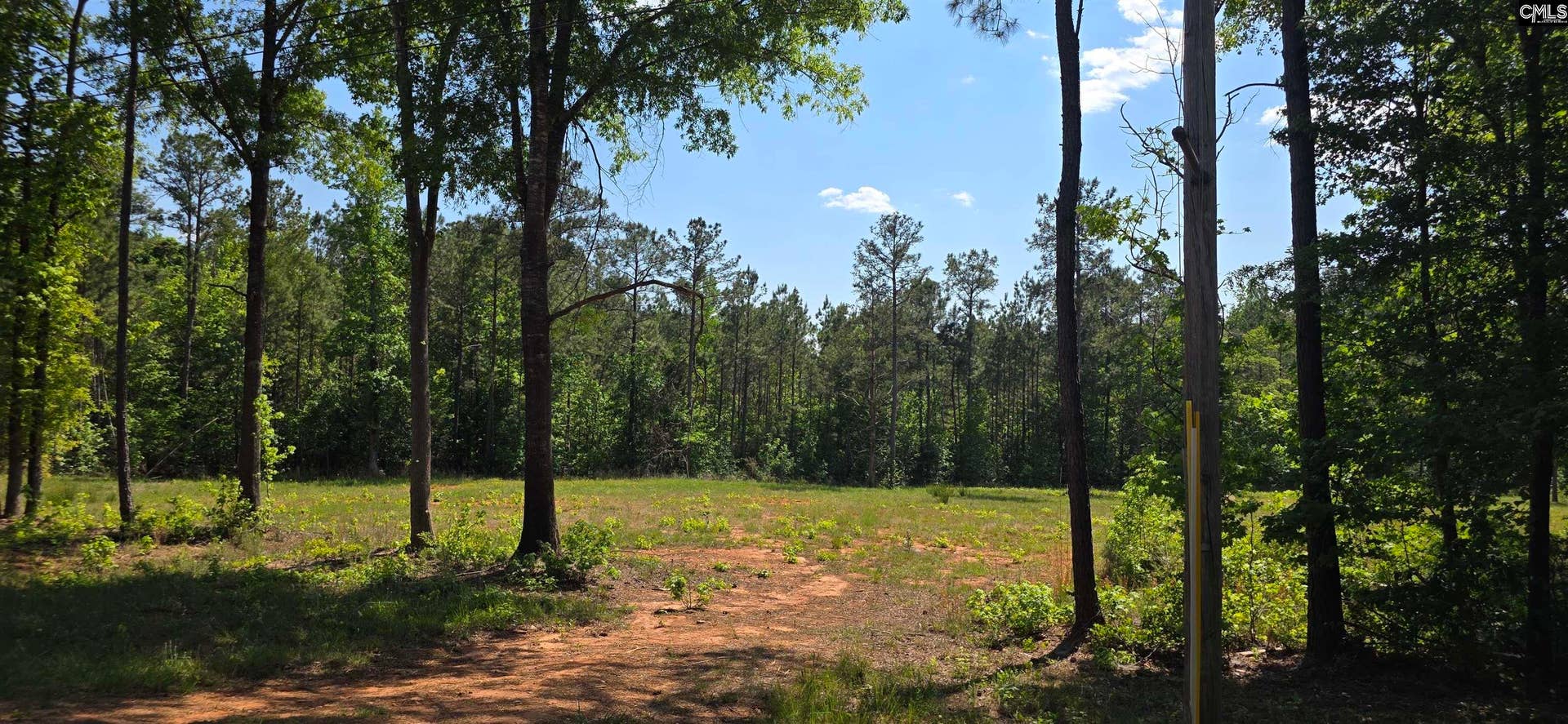 TBD Trade Mill Road, Winnsboro, SC 29180