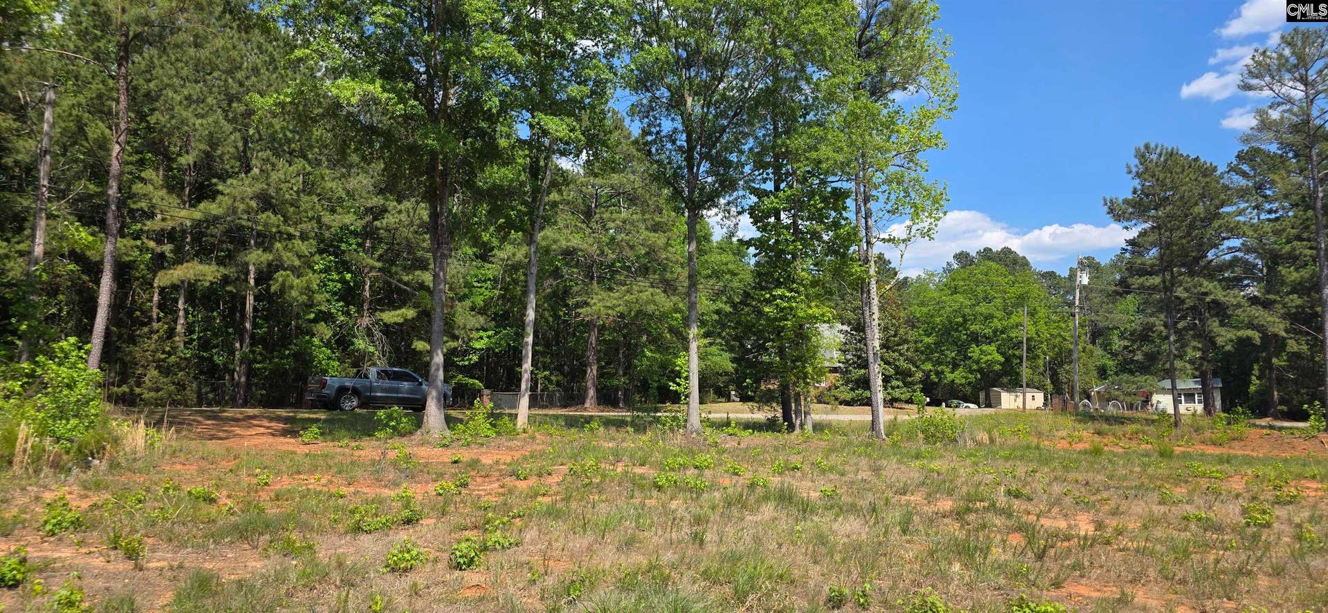 TBD Trade Mill Road, Winnsboro, SC 29180