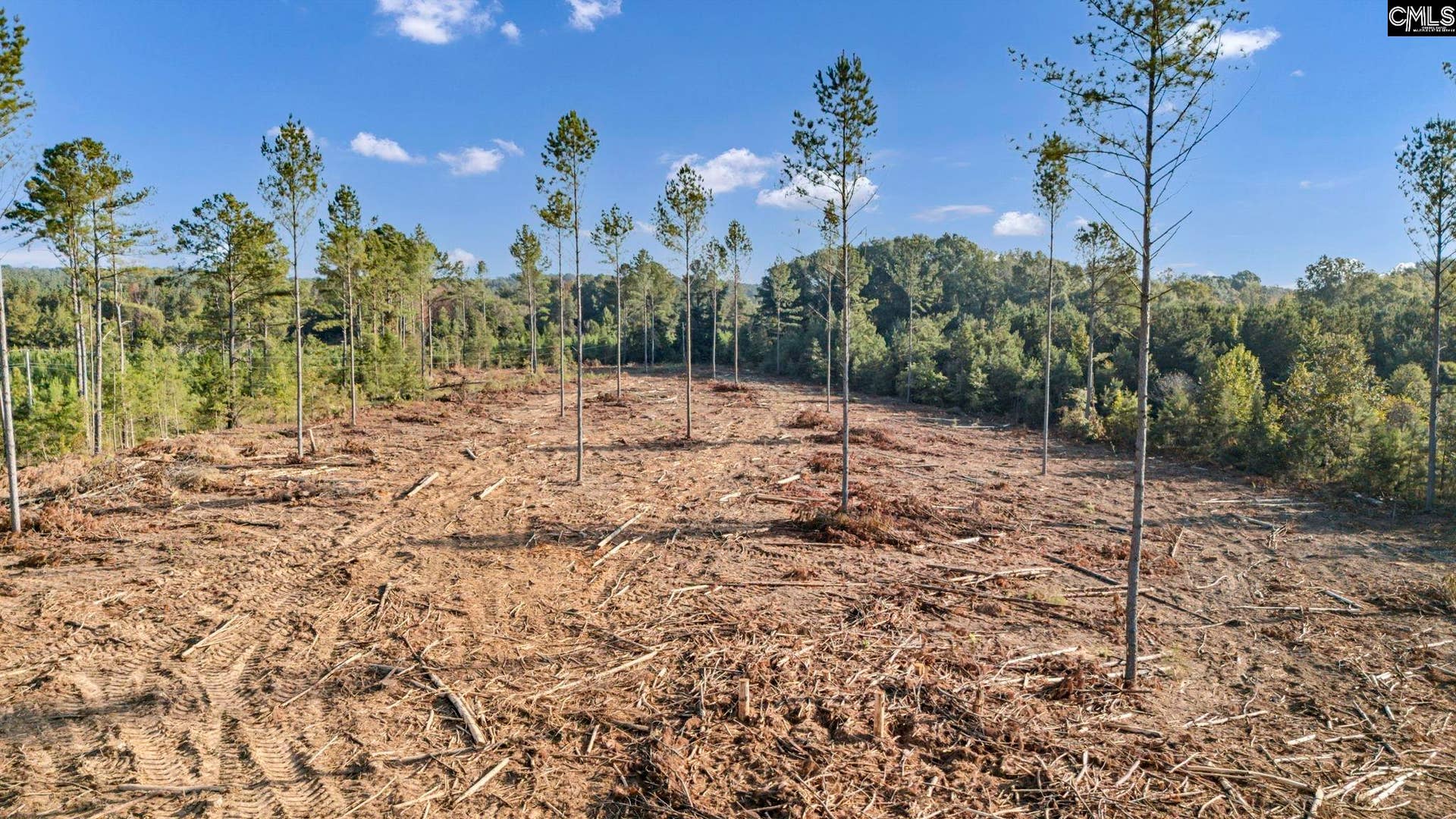 0 Fruit Hill Road, Saluda, SC 29138-0000