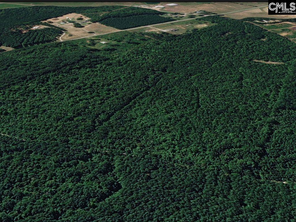 Plumb Branch Road, Saluda, SC 29138