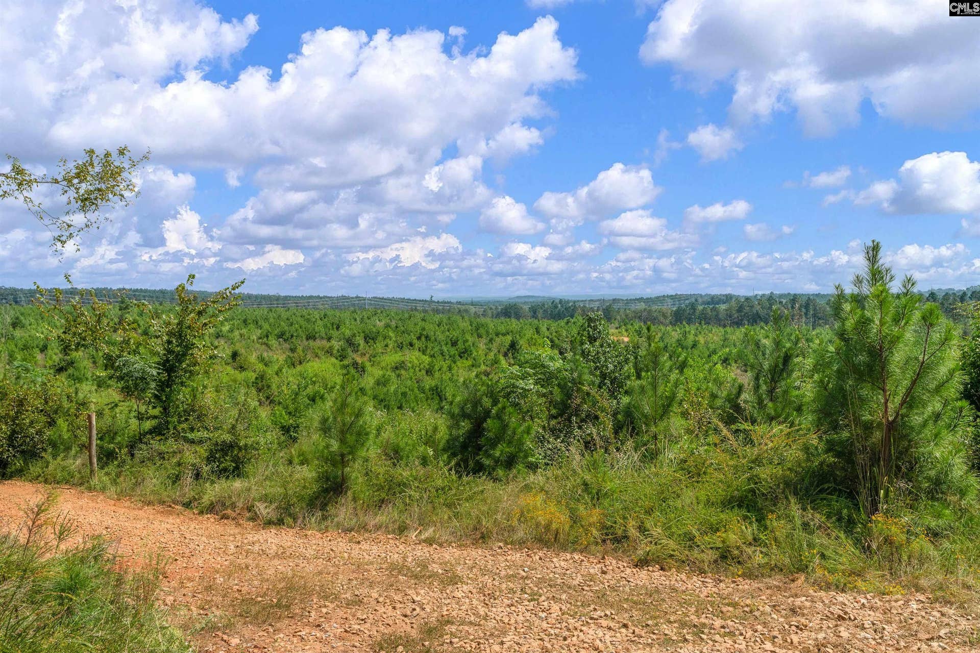 0000 Hwy 215, #3, Jenkinsville, SC 29065
