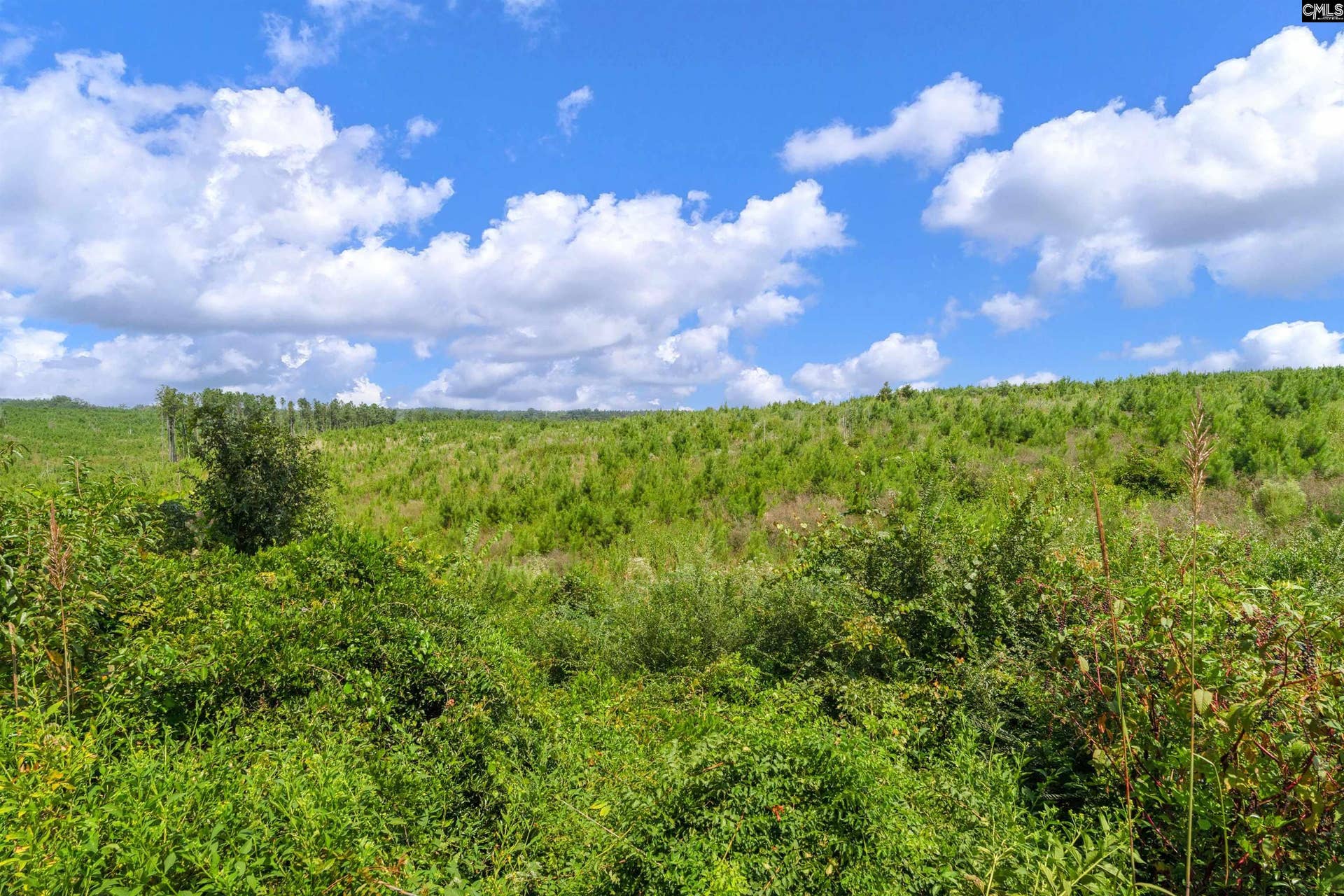 0000 Hwy 215, #3, Jenkinsville, SC 29065