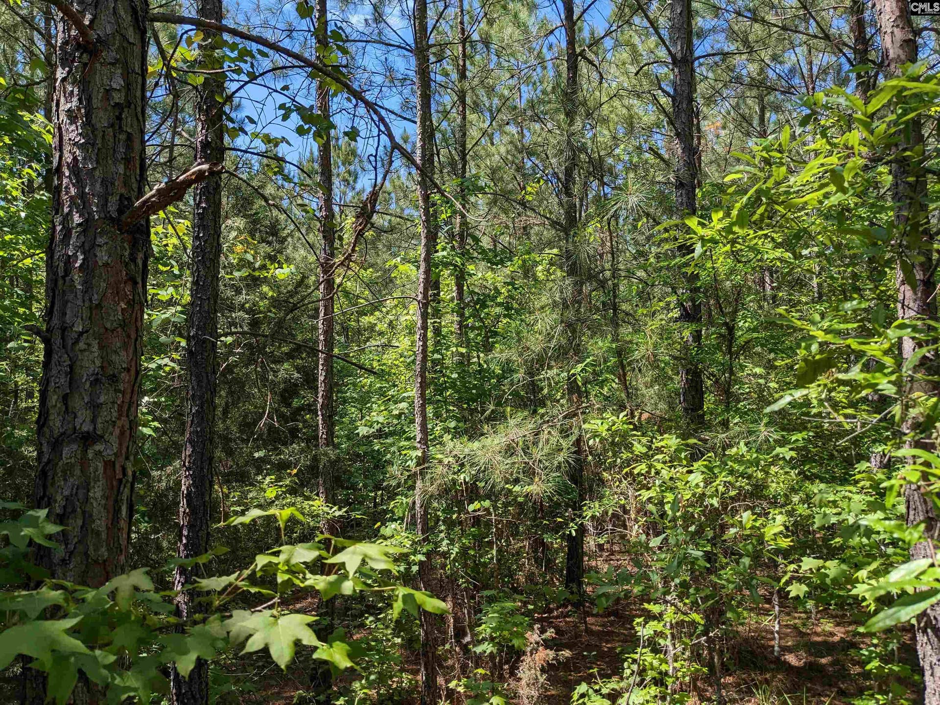Jewel Drive, Winnsboro, SC 29180