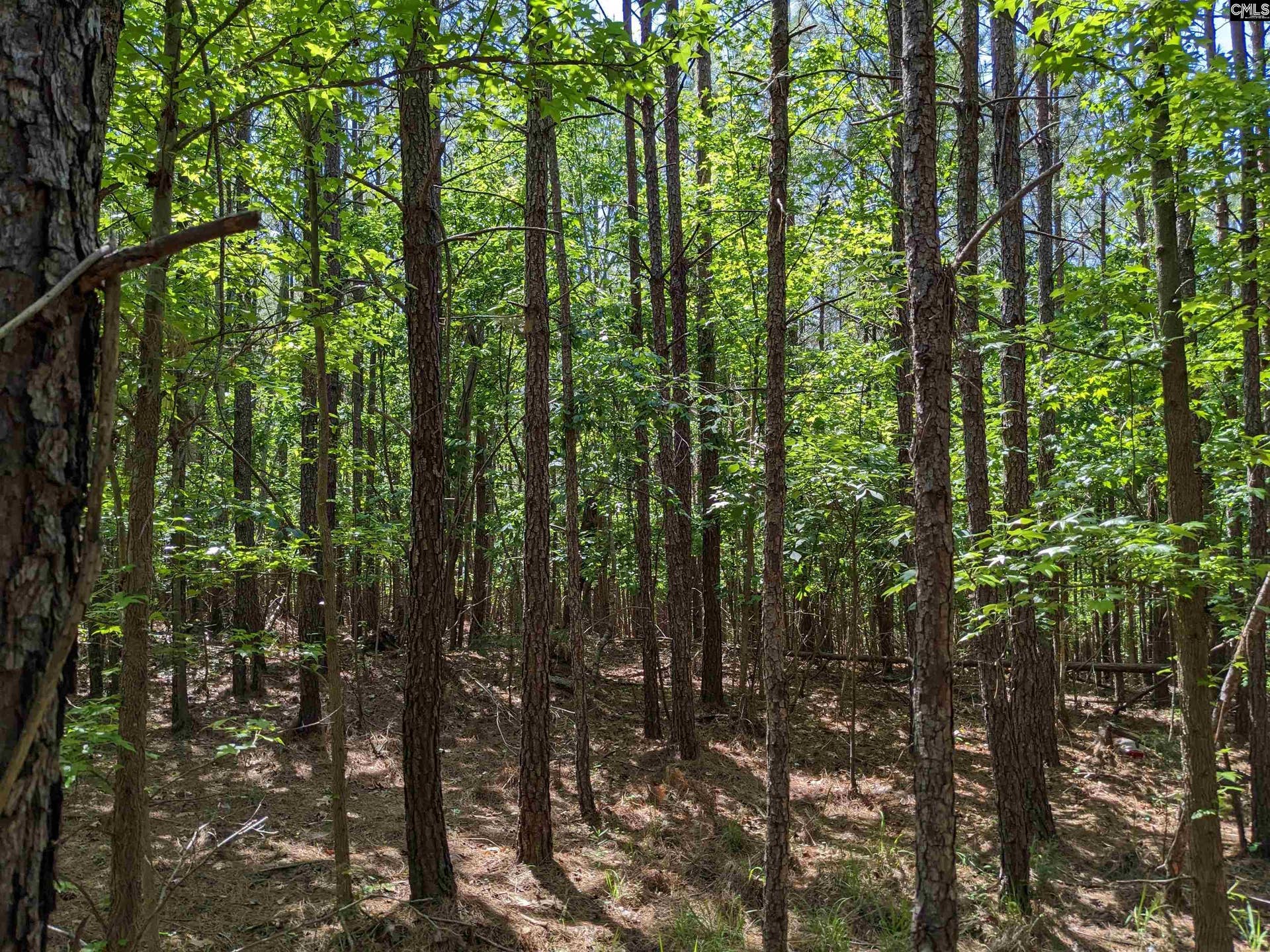 Jewel Drive, Winnsboro, SC 29180