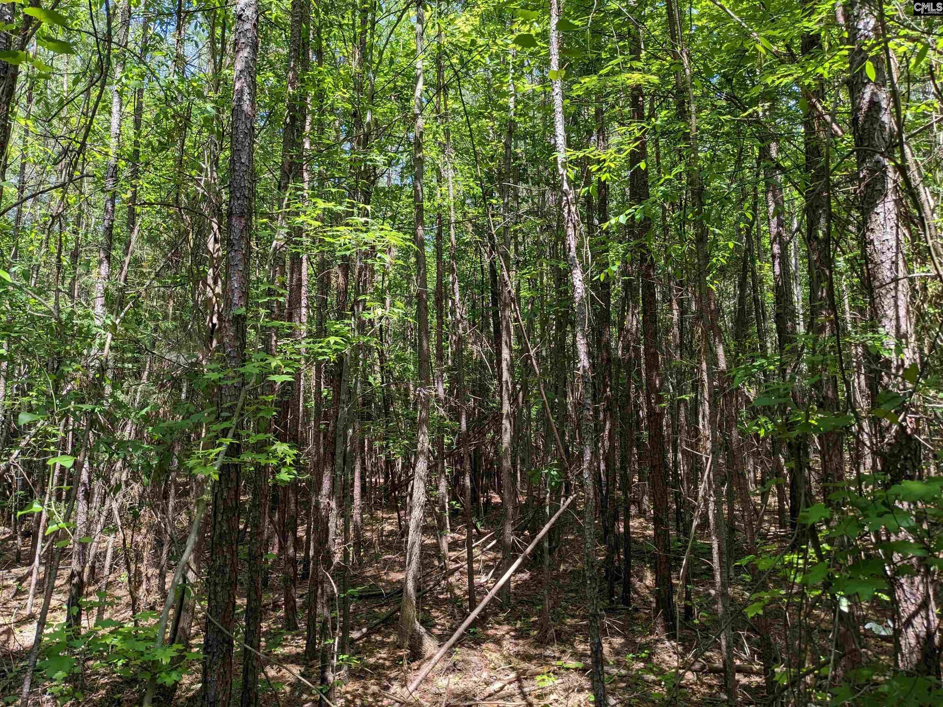 Jewel Drive, Winnsboro, SC 29180
