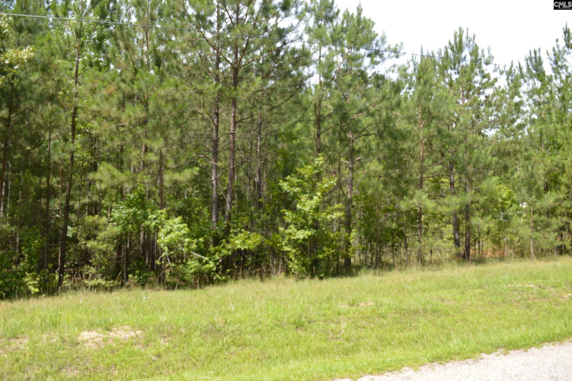 172 Colonels Circle, Ridgeway, SC 29130