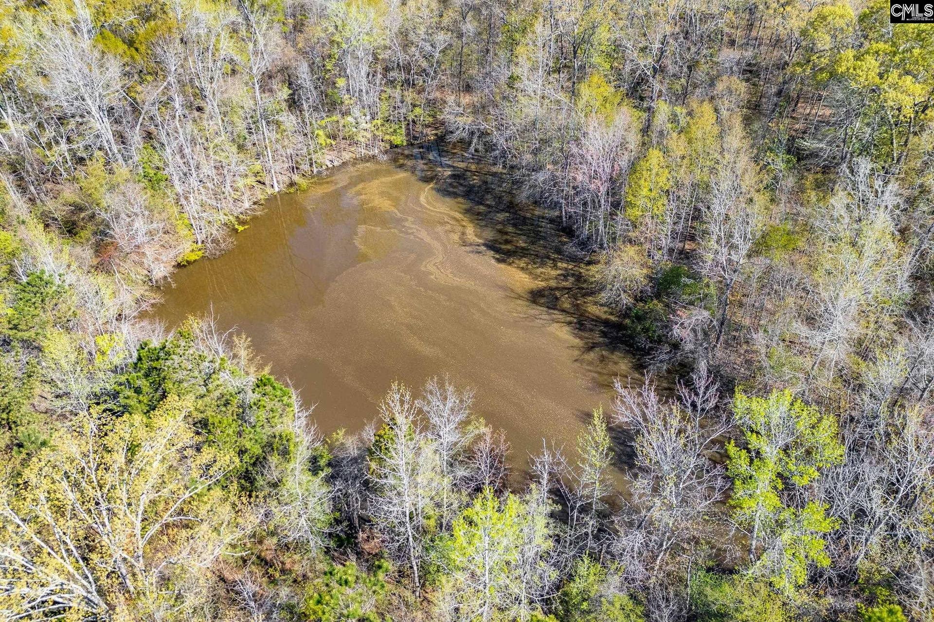 3941 Holley Ferry Road, Leesville, SC 29070