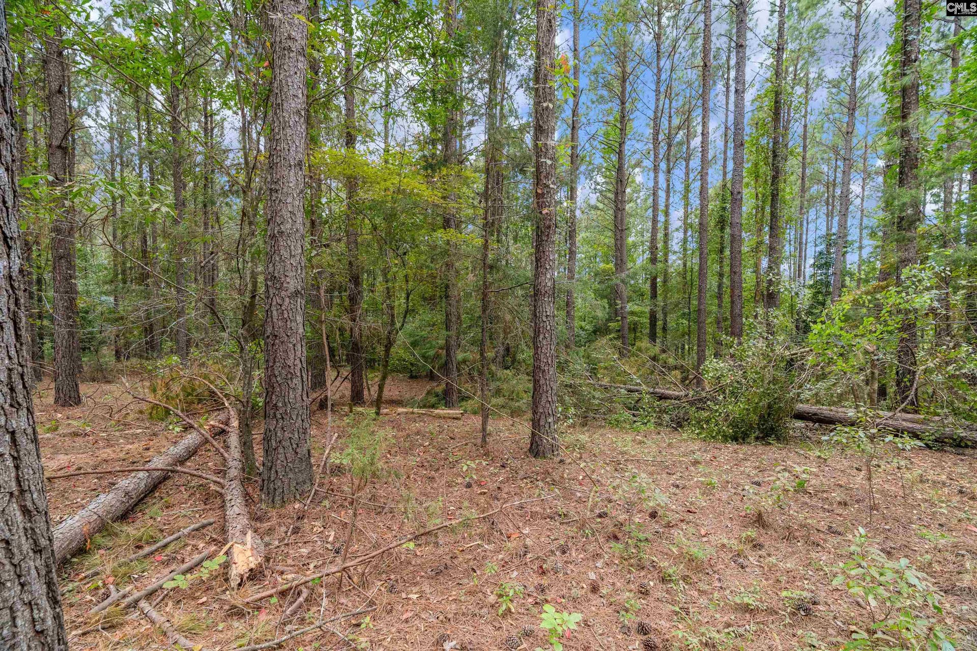 0000 Penner Rd, #10, Jenkinsville, SC 29065