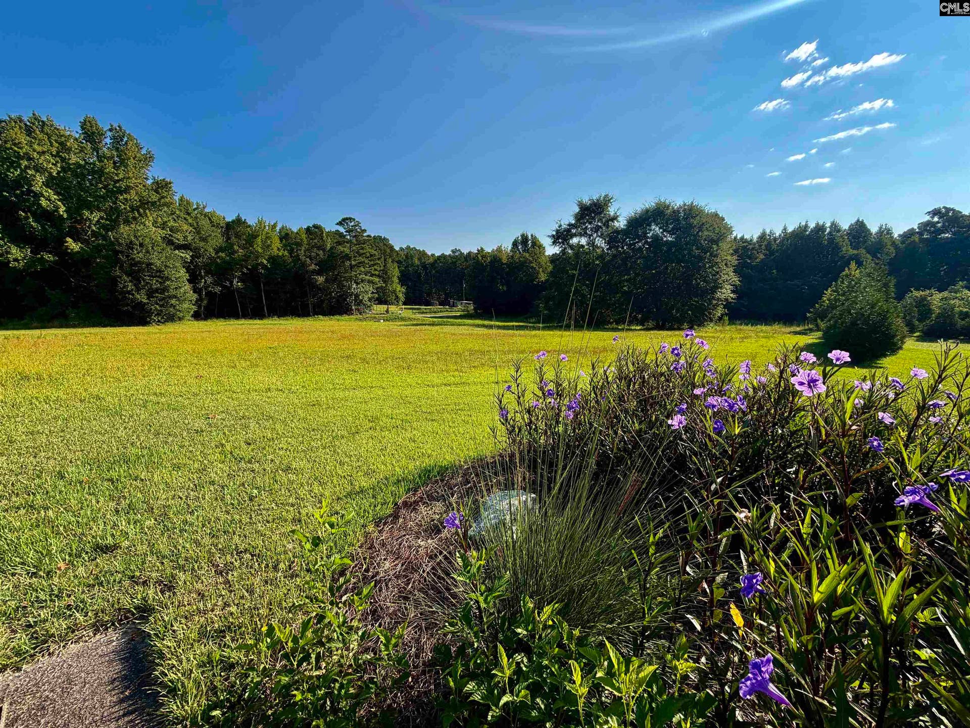 127 Deer Ridge Drive, Gilbert, SC 29054
