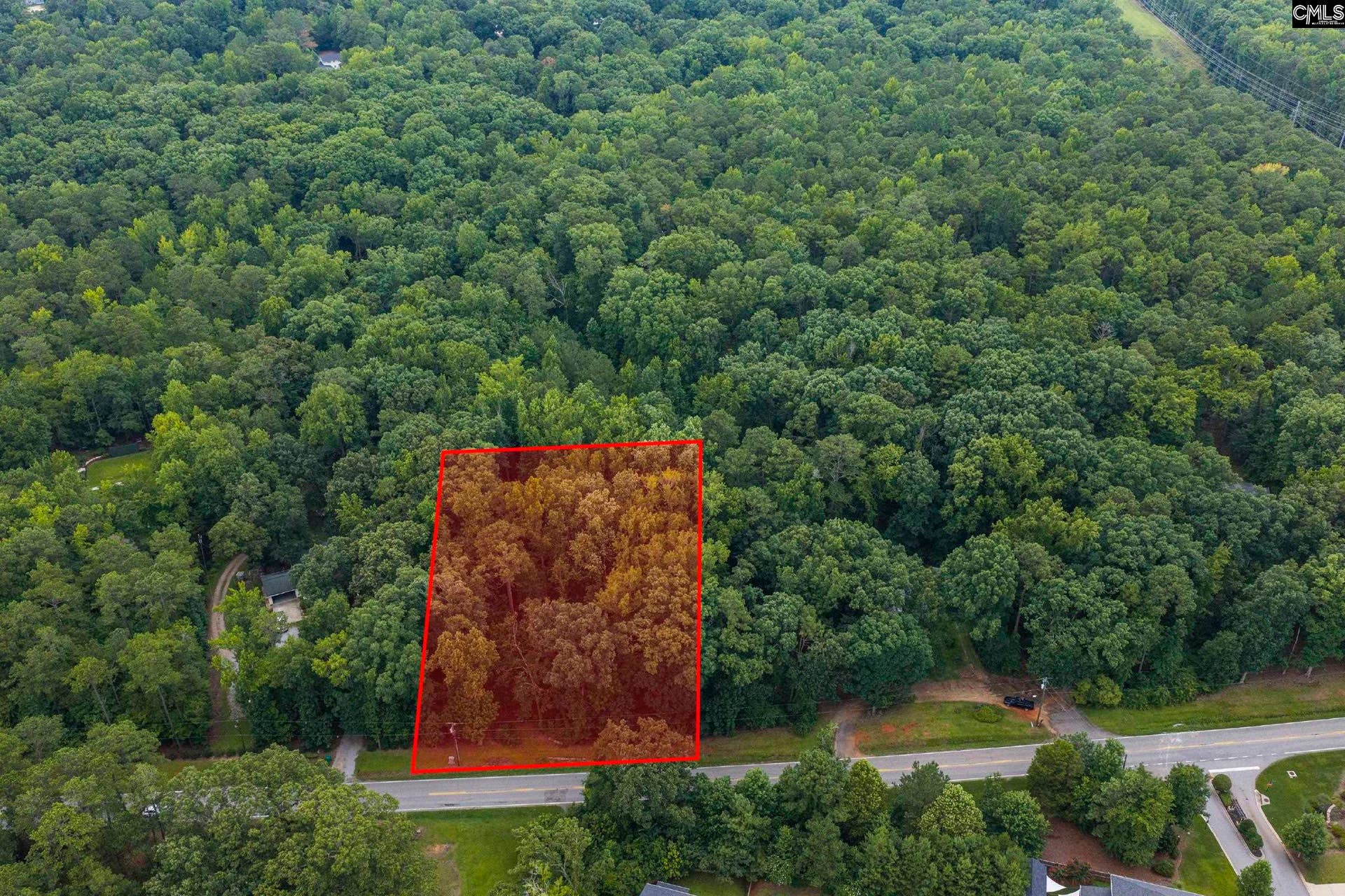 0 Corley Mill Road, Lexington, SC 29072