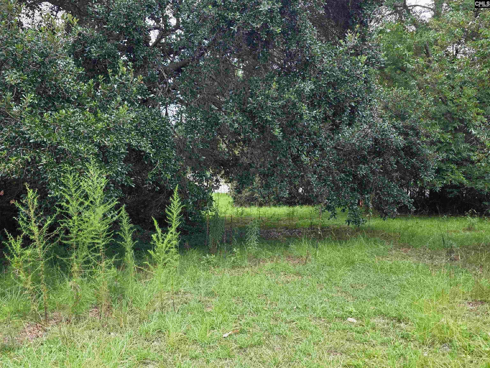 0 Hillsboro Road, Orangeburg, SC 29115