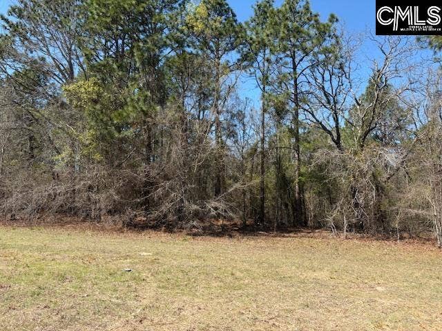 0 Marcellus Road, Leesville, SC 29070