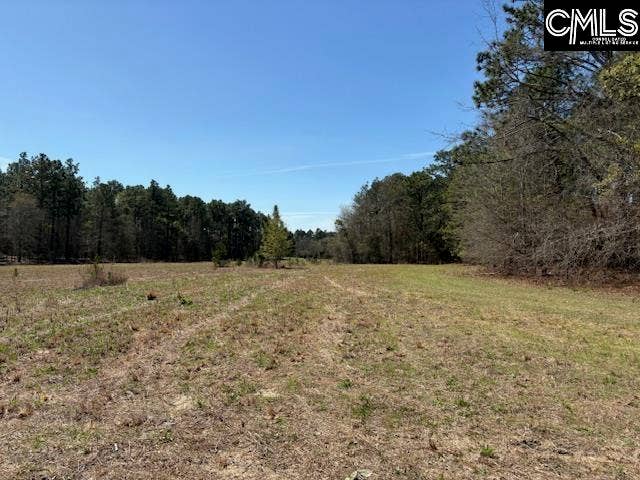 0 Marcellus Road, Leesville, SC 29070