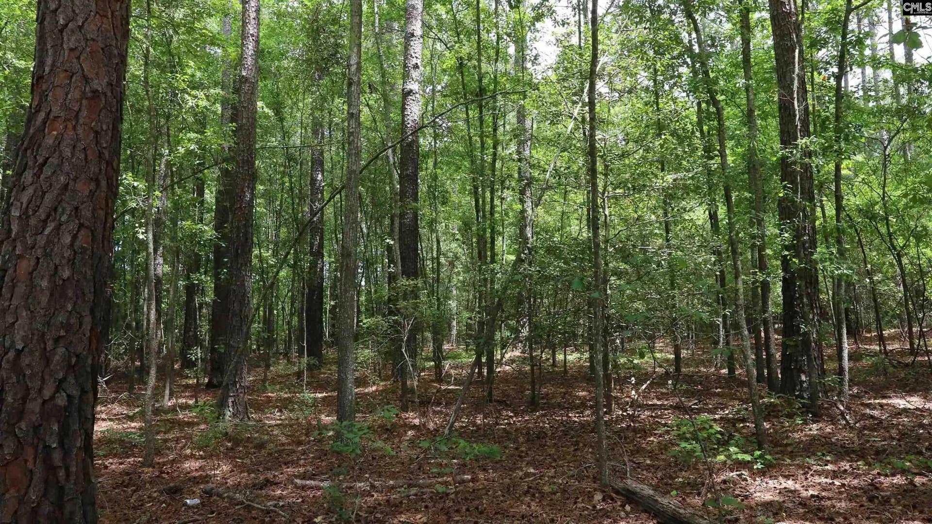 1091 Pine Grove Road, Leesville, SC 29006